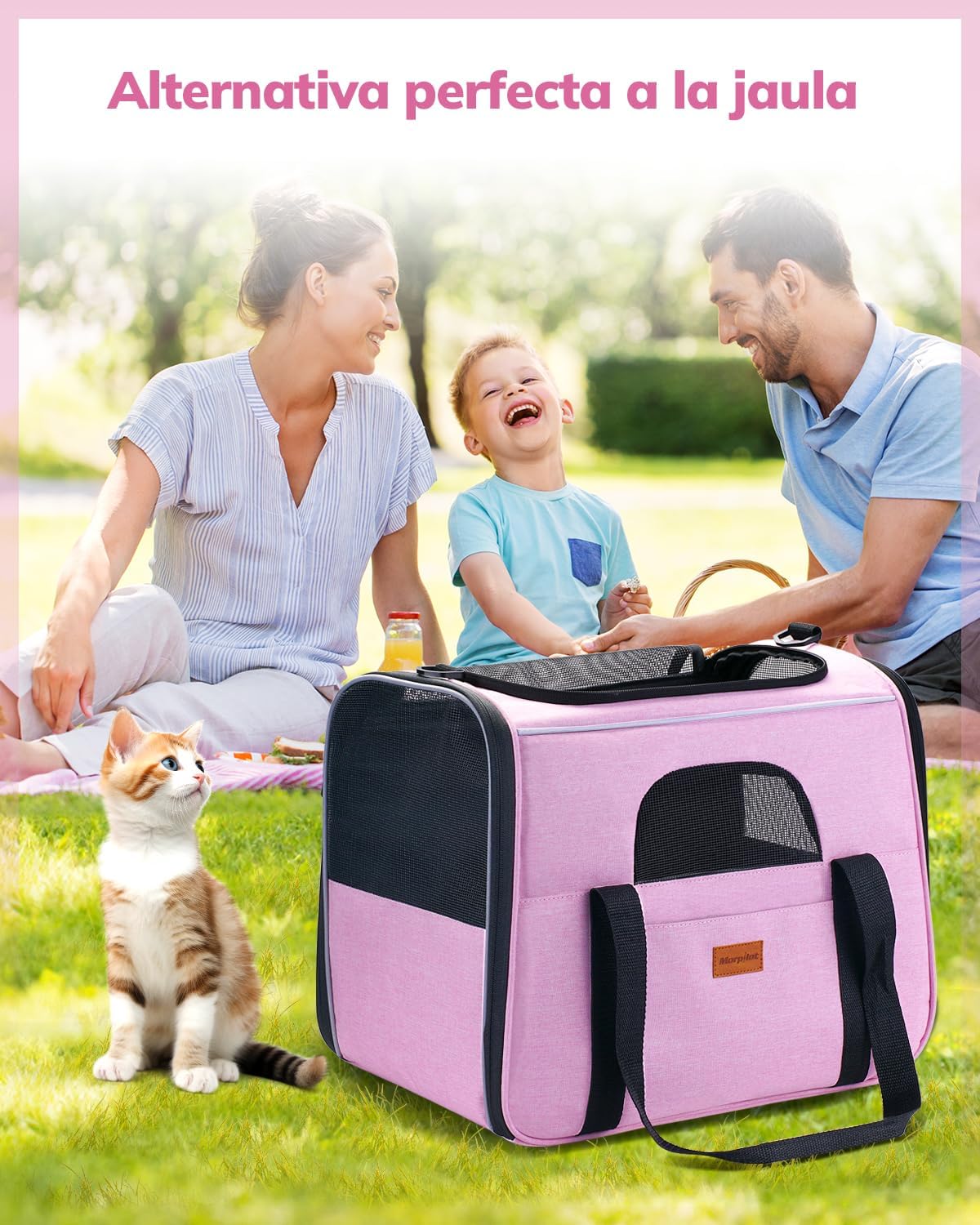 Morpilot Cat Carrier Soft - Portable Pet Carrier for Small or Medium Cats, Dogs and Puppy up to 14lbs, Airline Approved Dog Carrier with Safety Buckle - (Dark Gray)