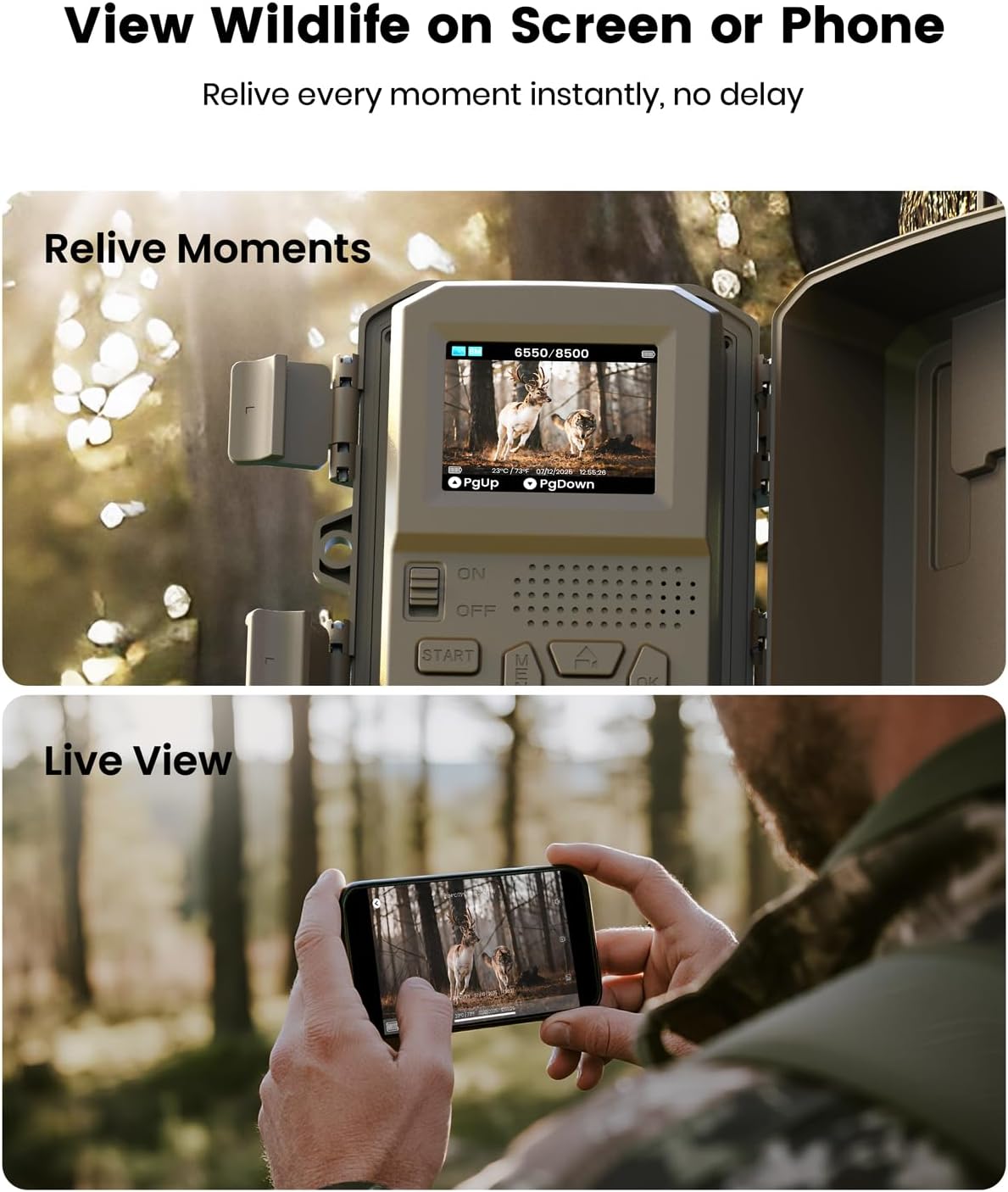 Misstech 4K UHD Solar Trail Camera for Game & Wildlife Monitoring - 0.1s Motion Trigger to Capture Fast Animals, 64MP/4K Clear Night Vision, Map Pin, App Control, IP66 Waterproof, 32GB SD Card