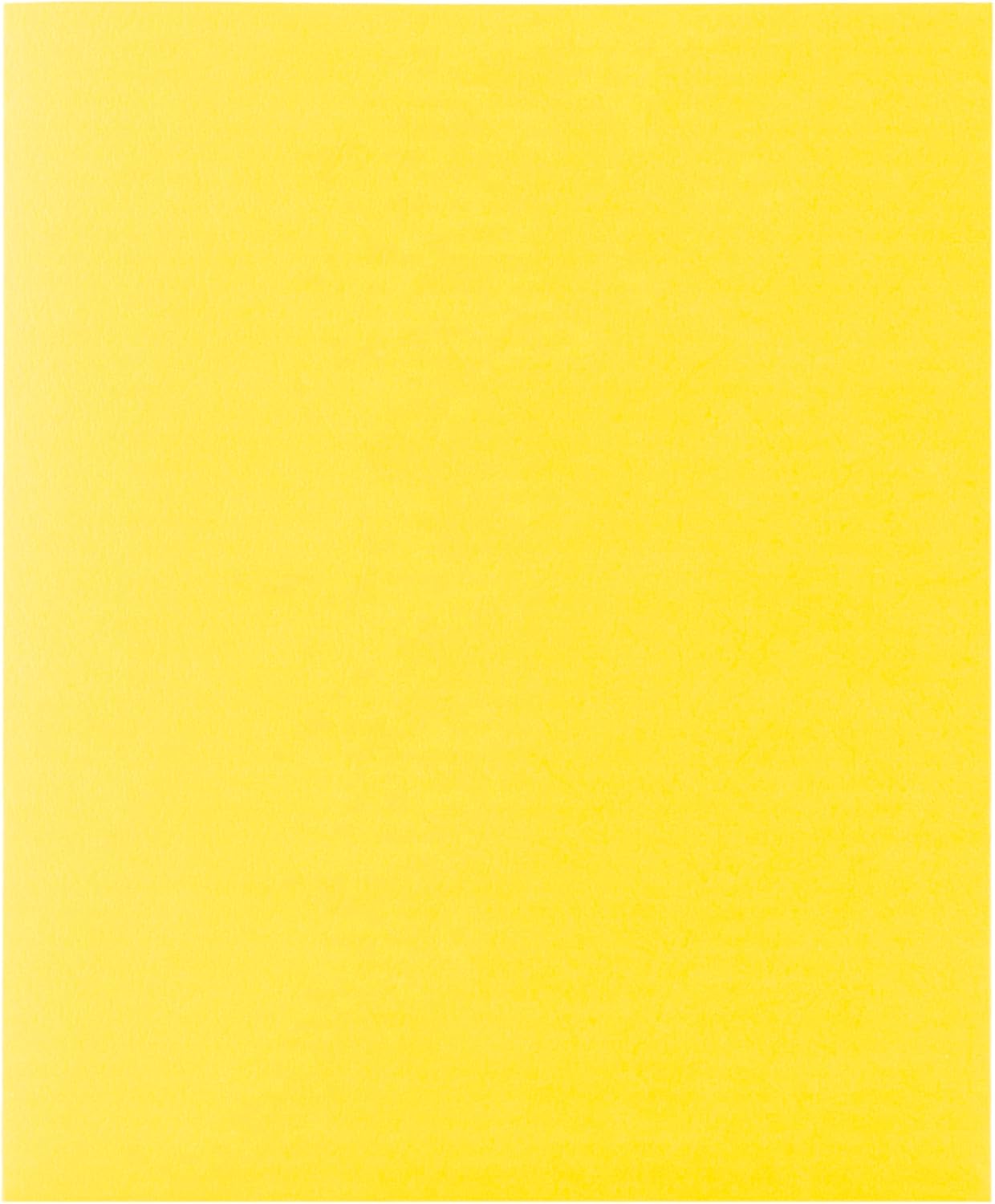 Hilroy Twin Pocket Portfolios, 9.5" x 11.75", 4-Pack, Assorted Colours (06042) - PuriLite