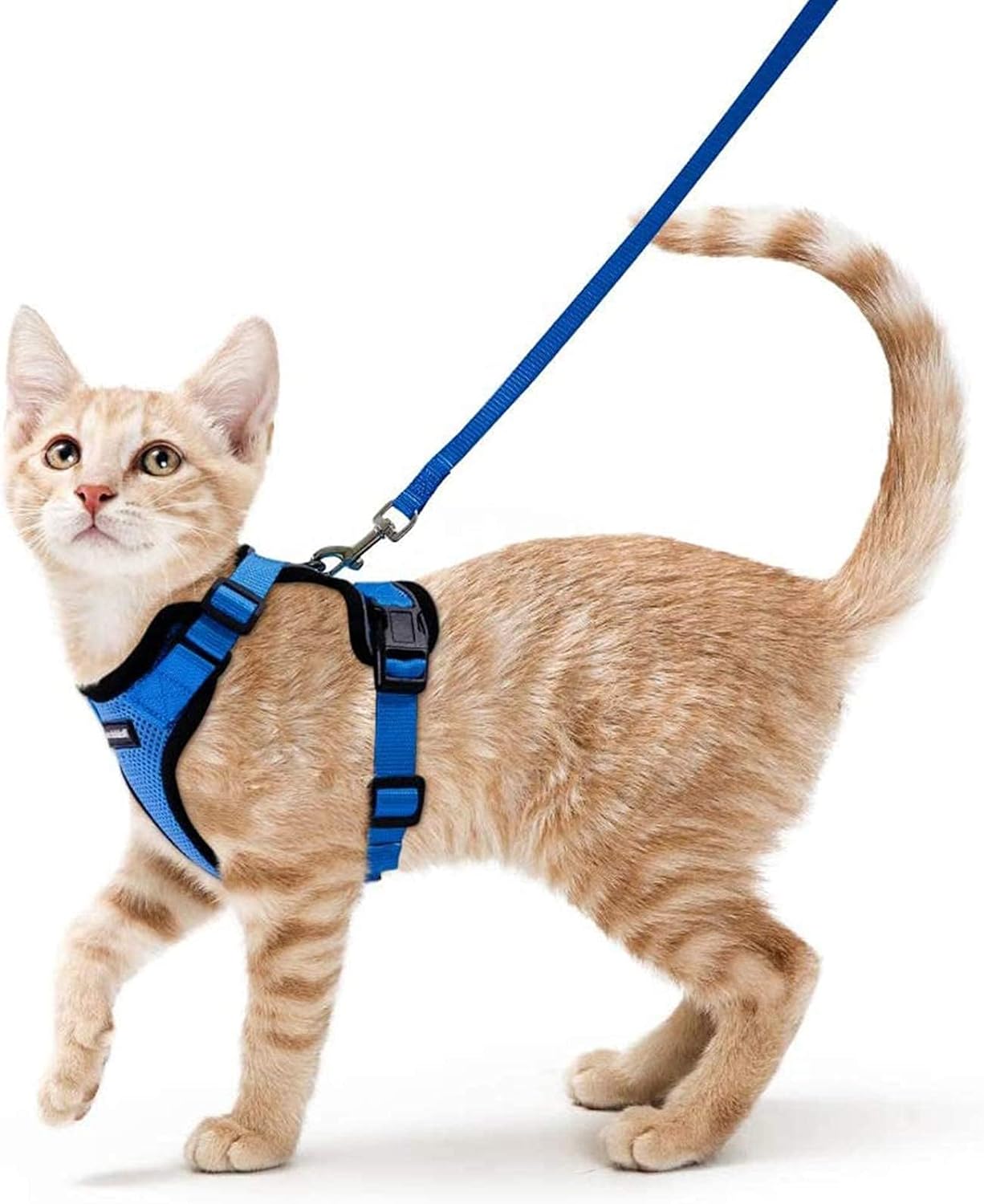 rabbitgoo Cat Harness and Leash for Walking, Escape Proof Soft Adjustable Vest Harnesses for Small Medium Cats, Easy Control Breathable Reflective Strips Jacket, XS, Black