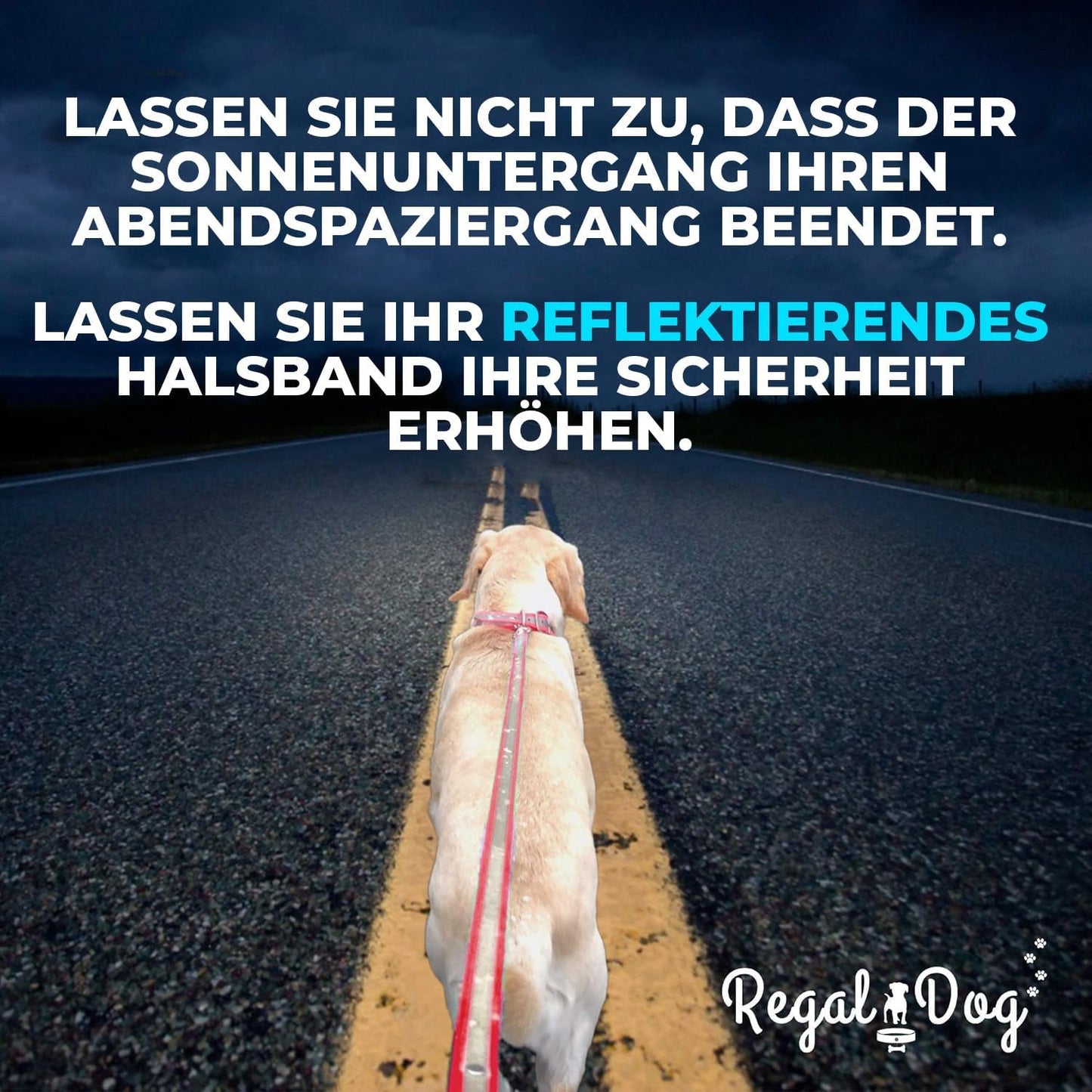 Regal Dog Products Heavy Duty Reflective Dog Collar – Adjustable and with Durable Metal Buckle and Rings Anti-Odor, chew Resistant, Waterproof Dog Collar for Small Medium and Large Dogs (Large, Pink)