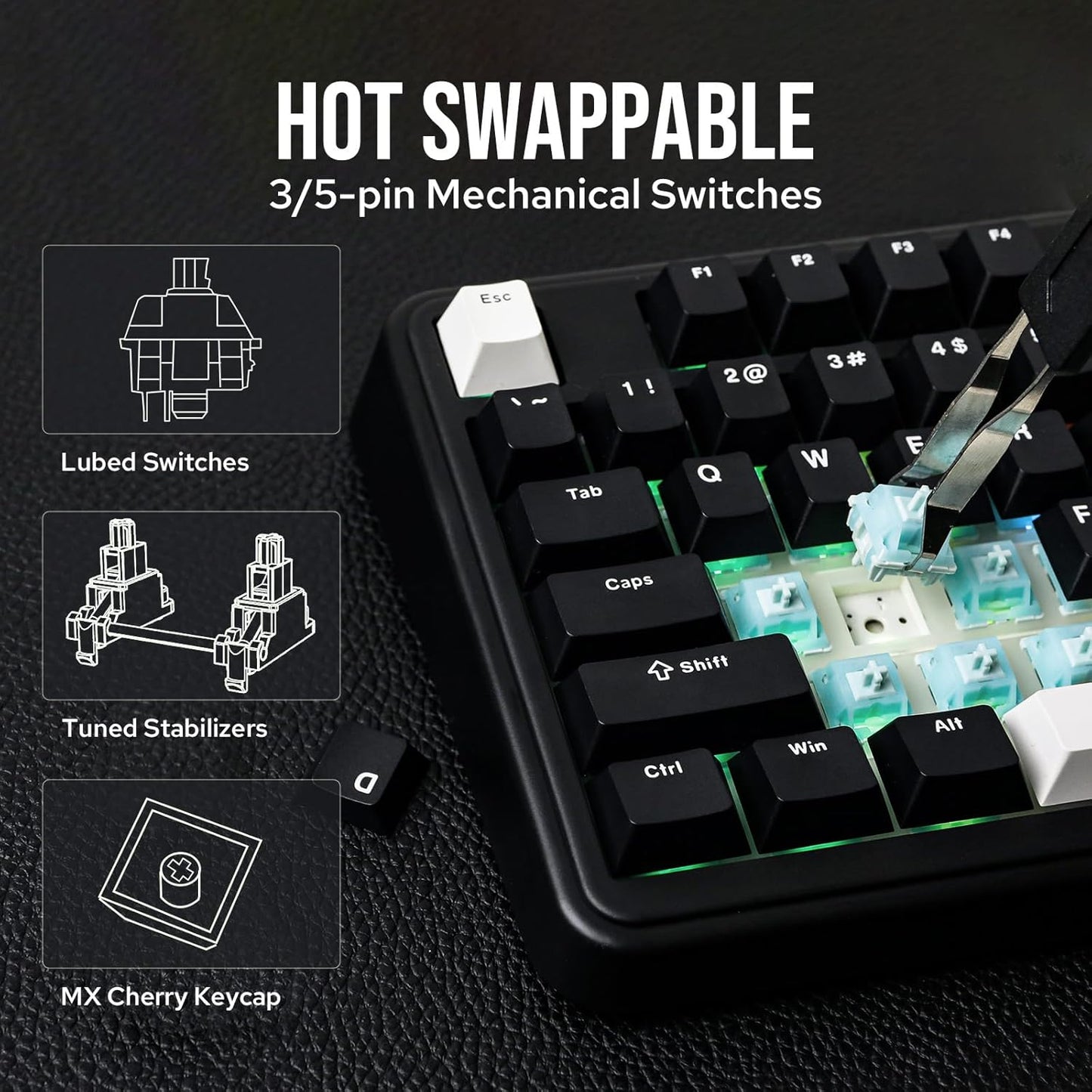 EPOMAKER TH99 Tri-Mode Wireless Mechanical Keyboard with 8000mAh Battery, Hot Swappable Custom RGB Gaming Keyboard with Numpad, Gasket Creamy for PC/Mac/Office (Blue&White)