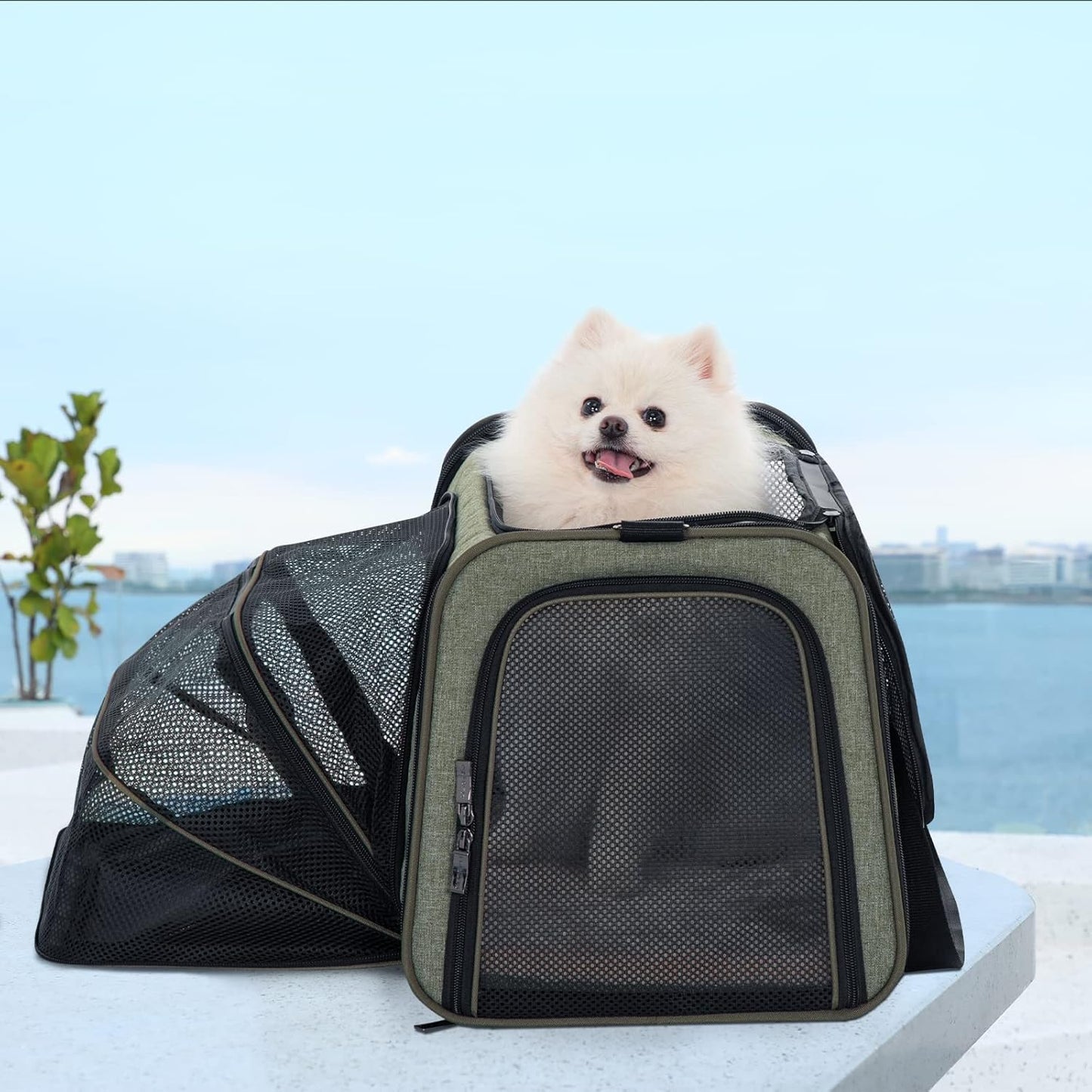 Petsfit Expandable Cat Dog Carrier Airline Approved, 17" L x 11" W x 11" H Soft-Sided Portable Pet Travel Carrier for Kitten, Puppy, Removable Soft Plush Mat and Pockets, Auto-Locking Zippers
