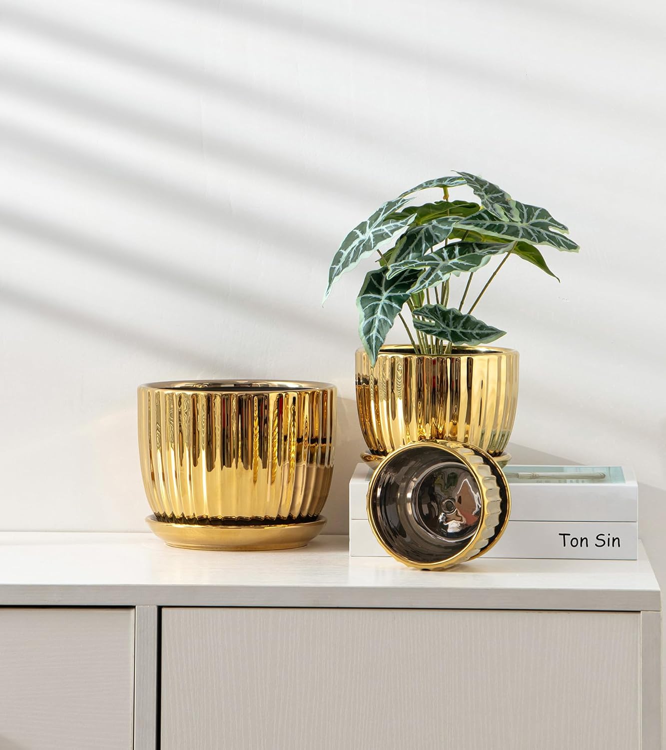 Purilite Select 3-Piece Ceramic Indoor Planter Set