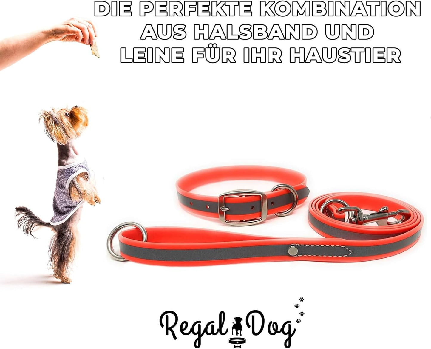 Regal Dog Products Heavy Duty Reflective Dog Collar – Adjustable and with Durable Metal Buckle and Rings Anti-Odor, chew Resistant, Waterproof Dog Collar for Small Medium and Large Dogs (Large, Pink)