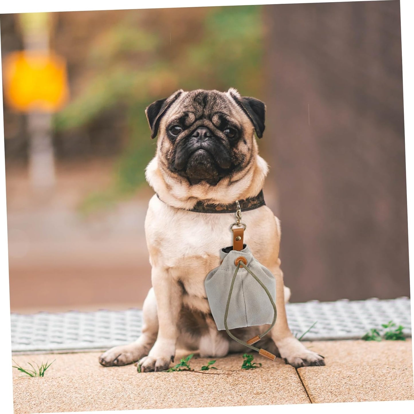 MINAOLULUS Dog Training Treat Pouch Portable Canvas Snack Holder for Outdoor Adventures for Treats Keys and