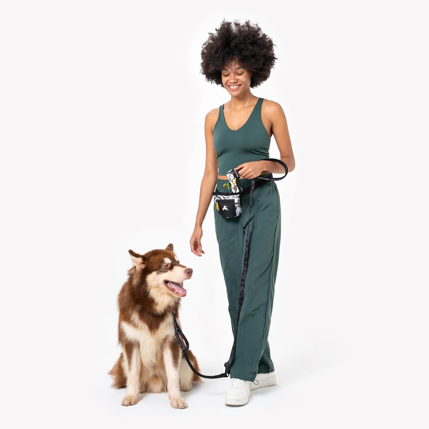 OllyDog Goodie Treat Bag, Dog Treat Pouch, Waist Belt Clip for Hands-Free Training, Magnetic Closure, Dog Training and Behavior Aids, Three Ways to Wear (Wet Weather)