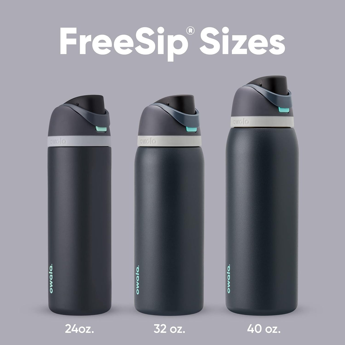 Owala FreeSip Insulated Stainless Steel Water Bottle with Straw for Sports, Travel, and School BPA-Free Sports Water Bottle, 24 oz, Beach House - PuriLite