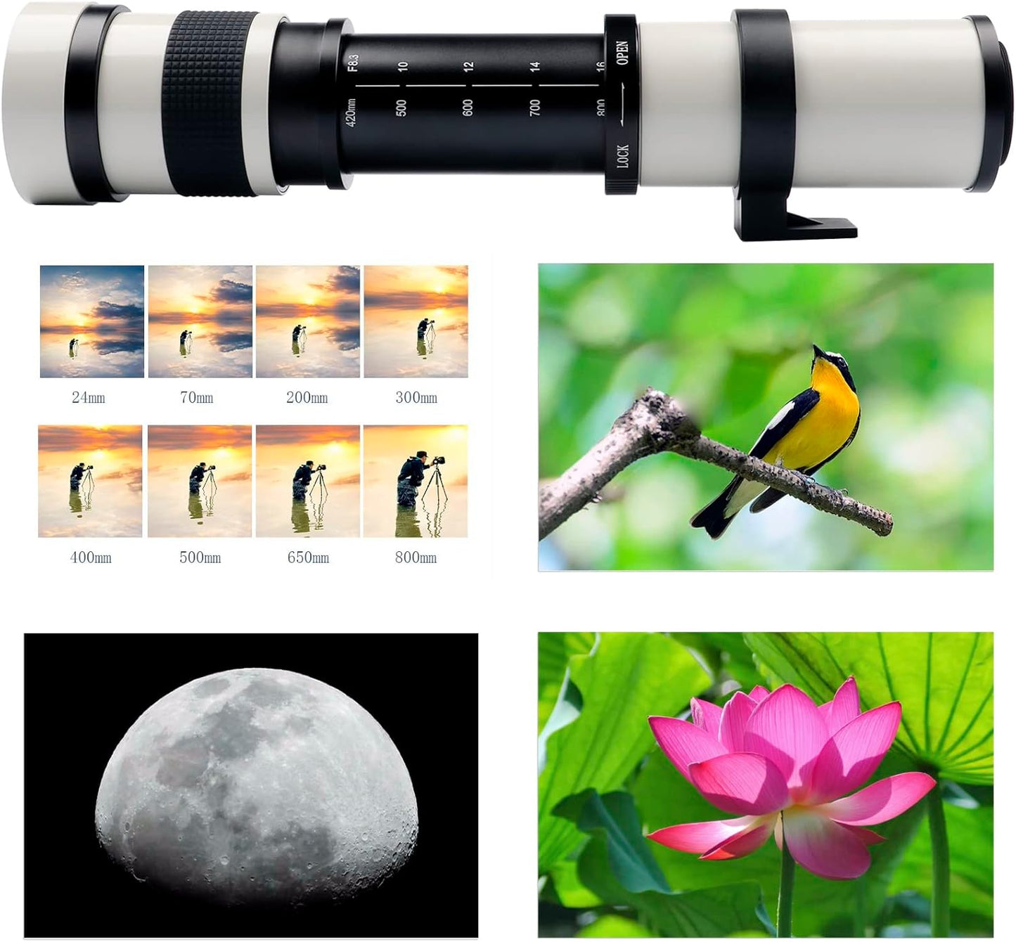 EF/EF-S 420-800mm F8.3 Telephoto Zoom Lens(MF) + T-Mount Adapter for Canon EOS Rebel T8i/T7i/T7/T6i/T5/T3i/T2i/XSi/SL3/SL2/T100/90D/80D/70D/50D/5D Mark IV/6D II/7D II/1D X III II-DSLR Cameras Lenses