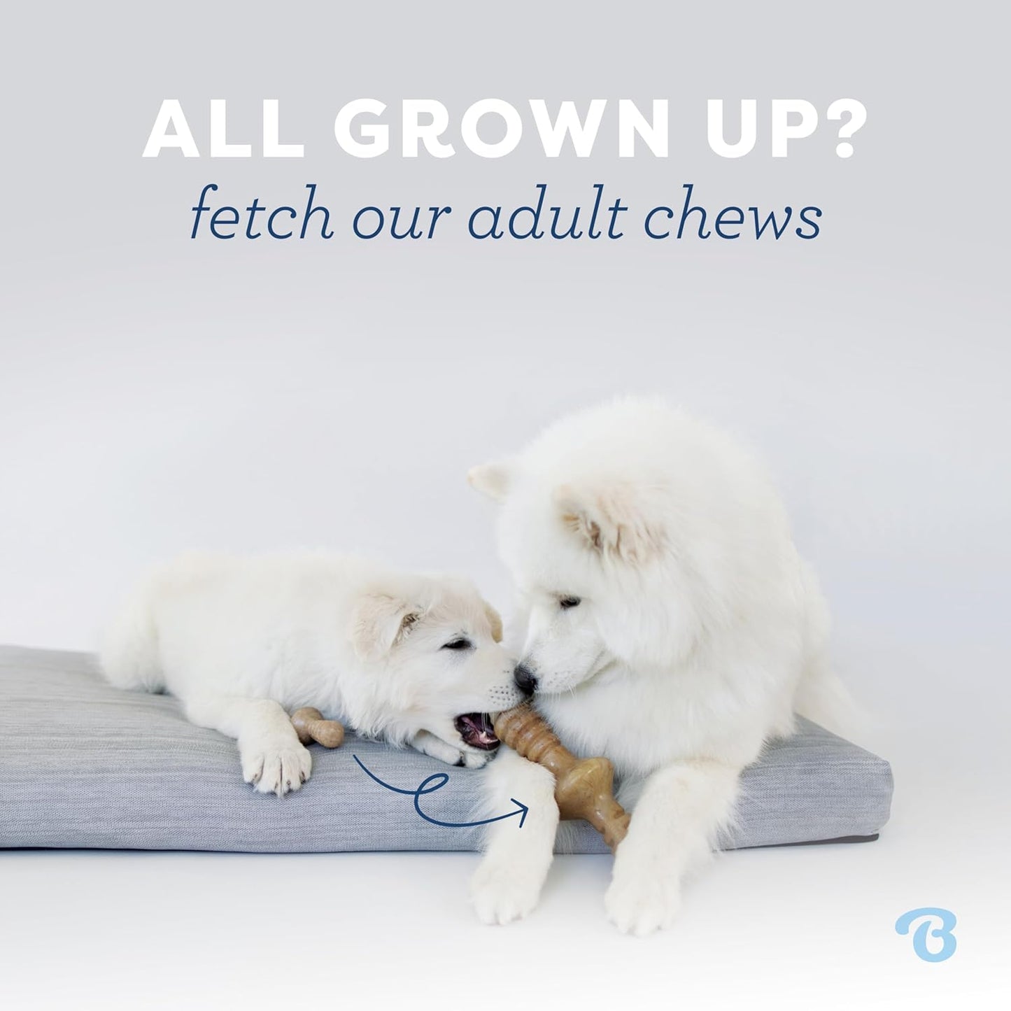 Benebone 4-Pack Durable Dog Chew Toys for Aggressive Chewers, Real Flavors, Made in USA, Medium