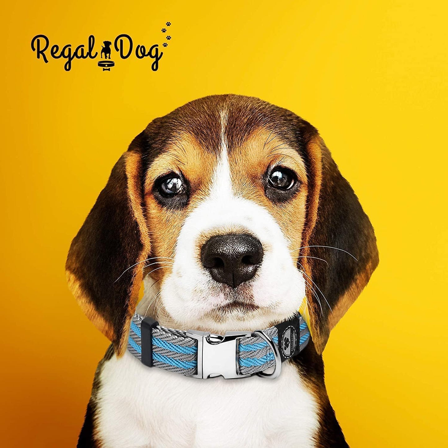 Regal Dog Products Pet Collar with Metal Buckle and D Ring | Durable Dog Collar with Reinforced Metal Clasp and Nylon Webbing Adjustable Dog Collar to fit for Large Dogs (Large, Blue/Gray Stripe)
