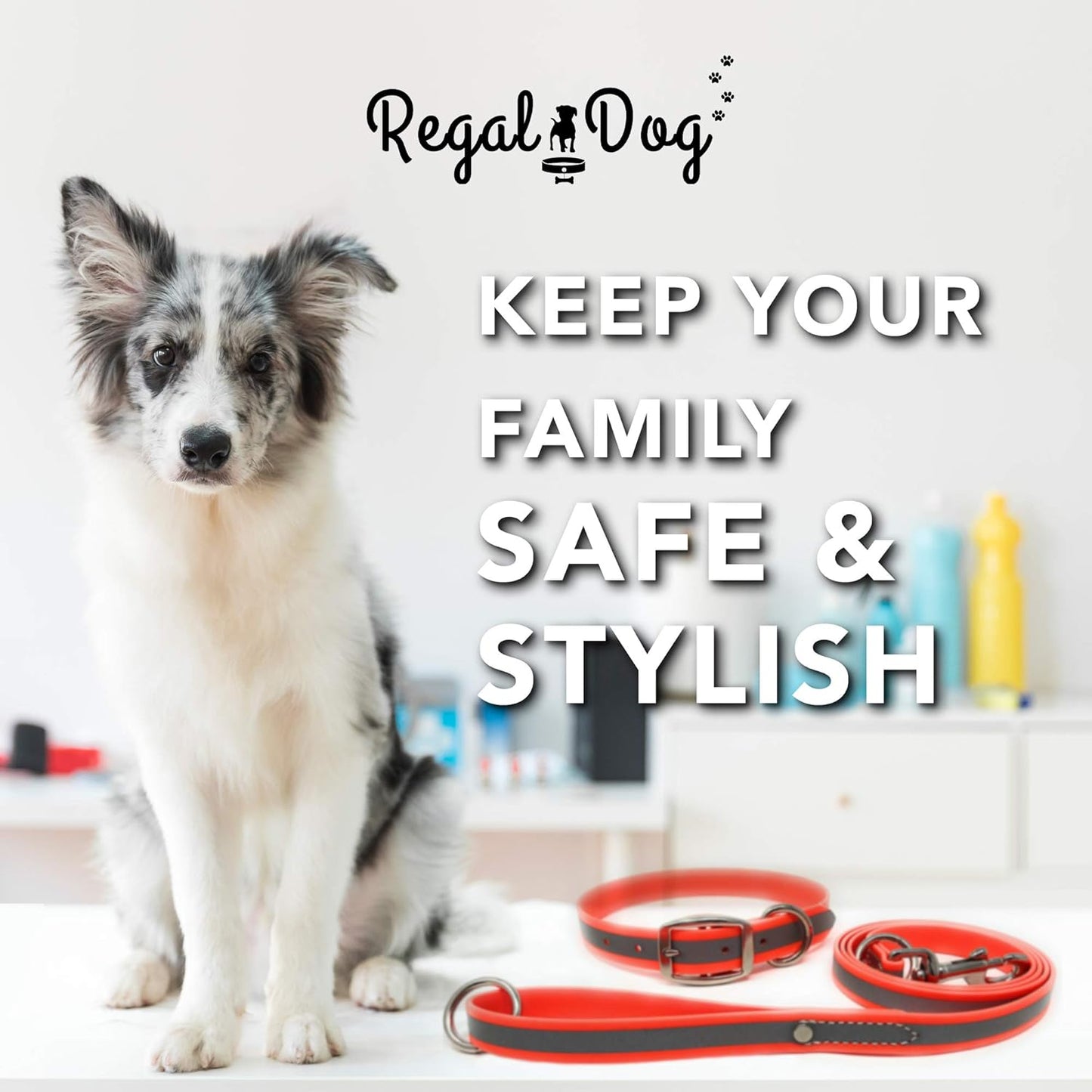 Regal Dog Products Heavy Duty Reflective Dog Collar – Adjustable and with Durable Metal Buckle and Rings Anti-Odor, chew Resistant, Waterproof Dog Collar for Small Medium and Large Dogs (Large, Pink)