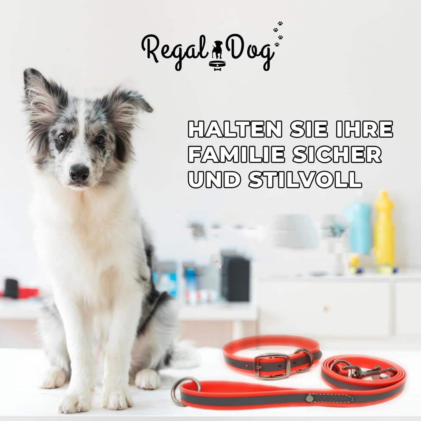 Regal Dog Products Heavy Duty Reflective Dog Collar – Adjustable and with Durable Metal Buckle and Rings Anti-Odor, chew Resistant, Waterproof Dog Collar for Small Medium and Large Dogs (Large, Pink)