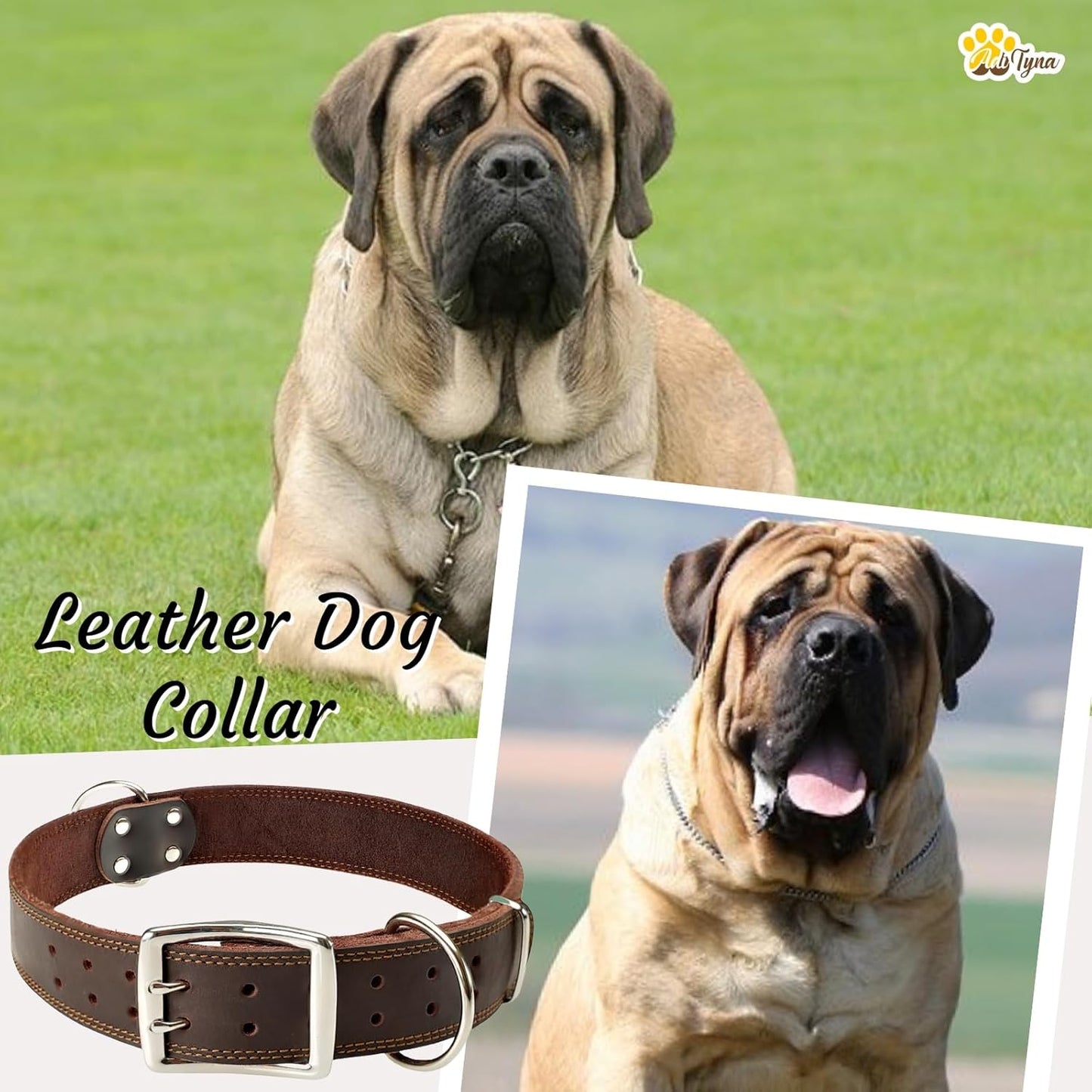 ADITYNA Heavy-Duty Leather Dog Collar for Medium Dogs - Soft and Strong, 100% Genuine Leather - Collier Pour Chien (Medium: Fit 13" - 20" Neck, Brown)