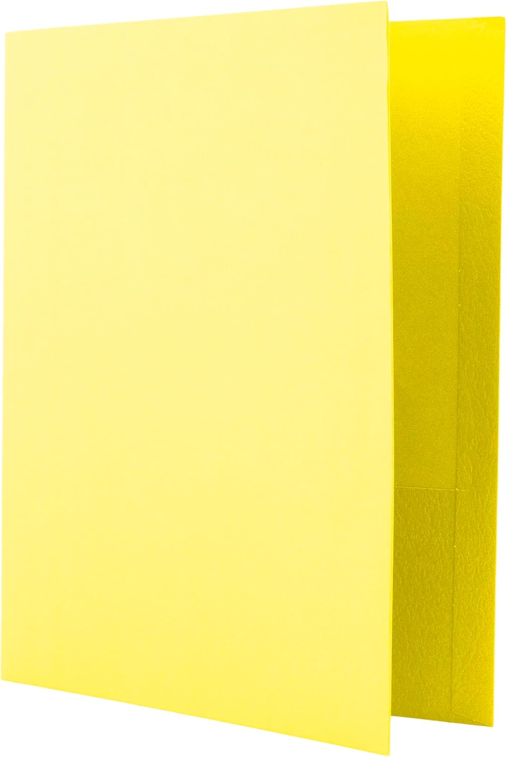 Hilroy Twin Pocket Portfolios, 9.5" x 11.75", 4-Pack, Assorted Colours (06042) - PuriLite
