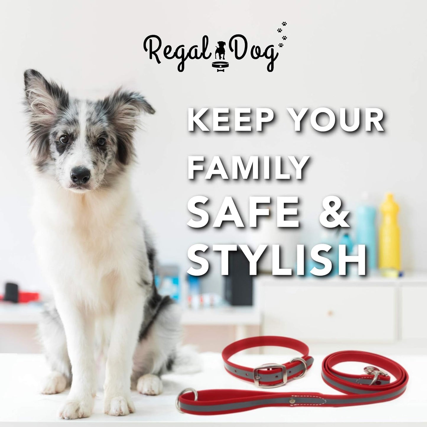 Regal Dog Products Heavy Duty Reflective Dog Collar – Adjustable and with Durable Metal Buckle and Rings Anti-Odor, chew Resistant, Waterproof Dog Collar for Small Medium and Large Dogs (Large, Pink)