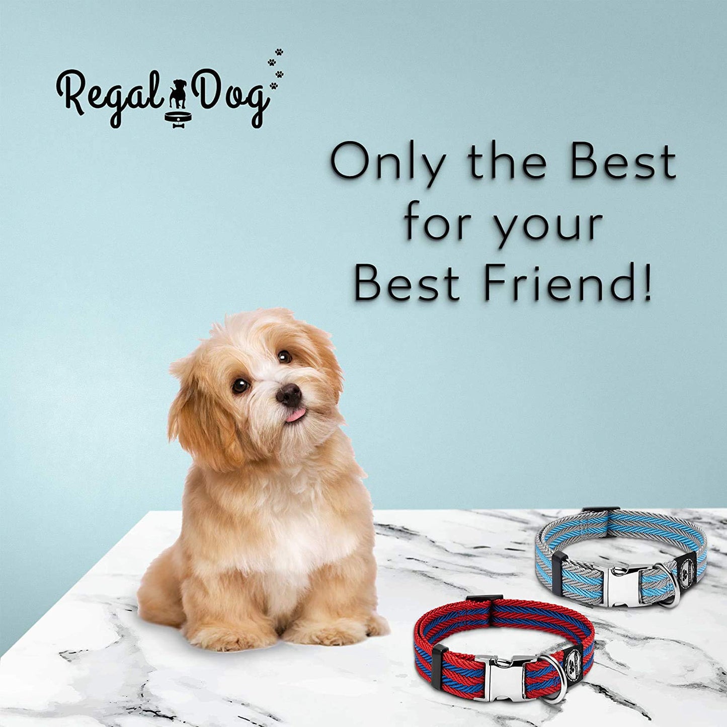 Regal Dog Products Pet Collar with Metal Buckle and D Ring | Durable Dog Collar with Reinforced Metal Clasp and Nylon Webbing Adjustable Dog Collar to fit for Large Dogs (Large, Blue/Gray Stripe)