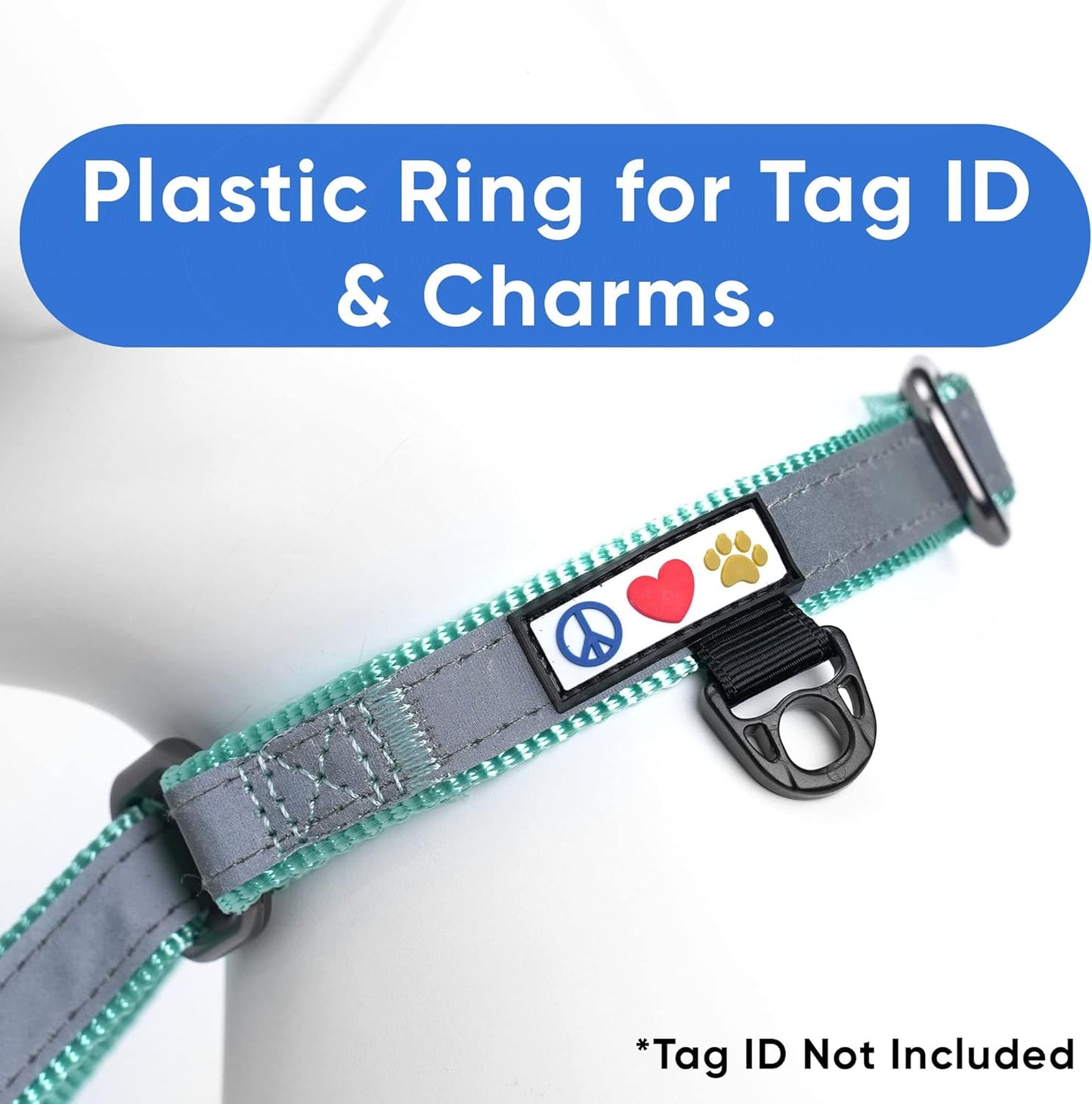 Pawtitas Chain Martingale Dog Collar Puppy Collar Reflective Dog Collar Training Dog Collar Behavioral Dog Chain Collar Collar Medium Dog Collar Green Dog Collar