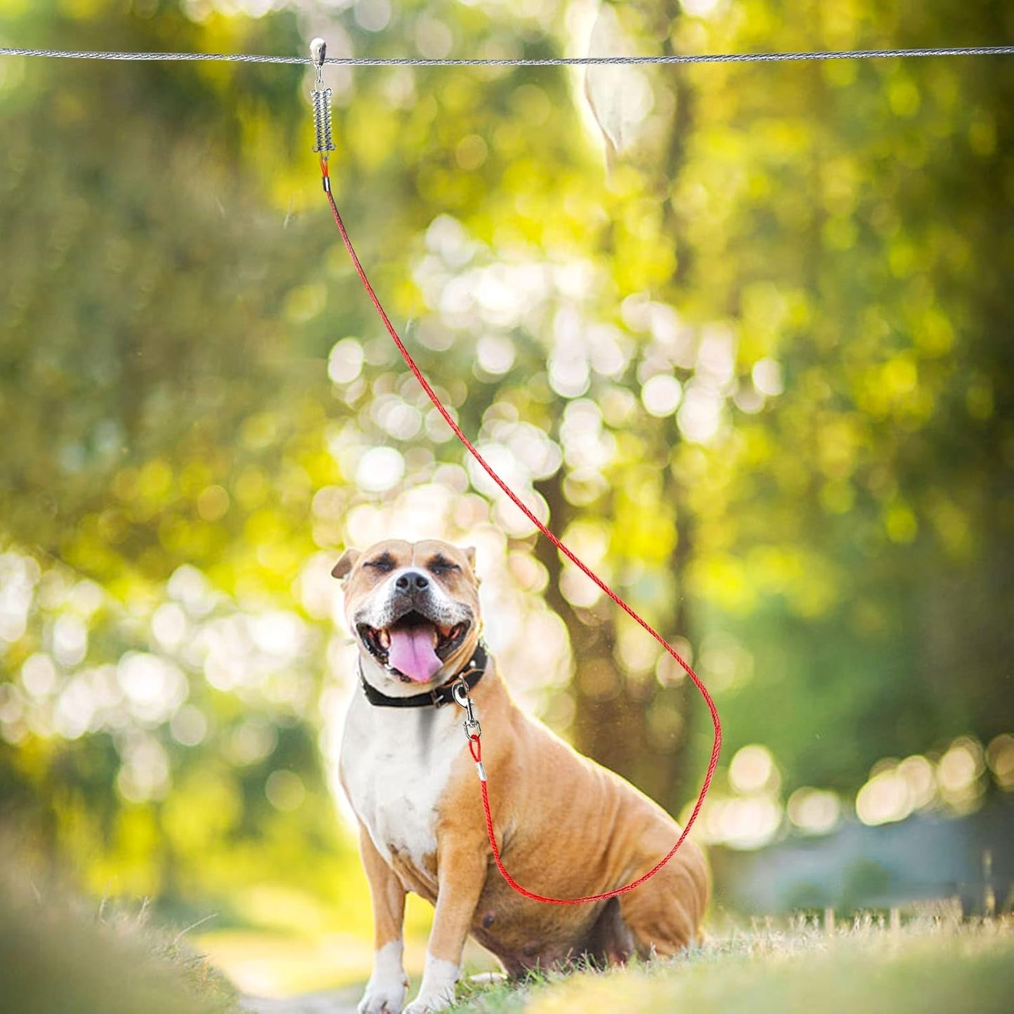 Snagle Paw Dog Tie Out Runner for Yard,Trolley System for Large Dogs,Heavy Duty Dog Run Cable with 10ft Pulley Runner Line for Dogs Up to 125lbs,Yard or Camping,75ft