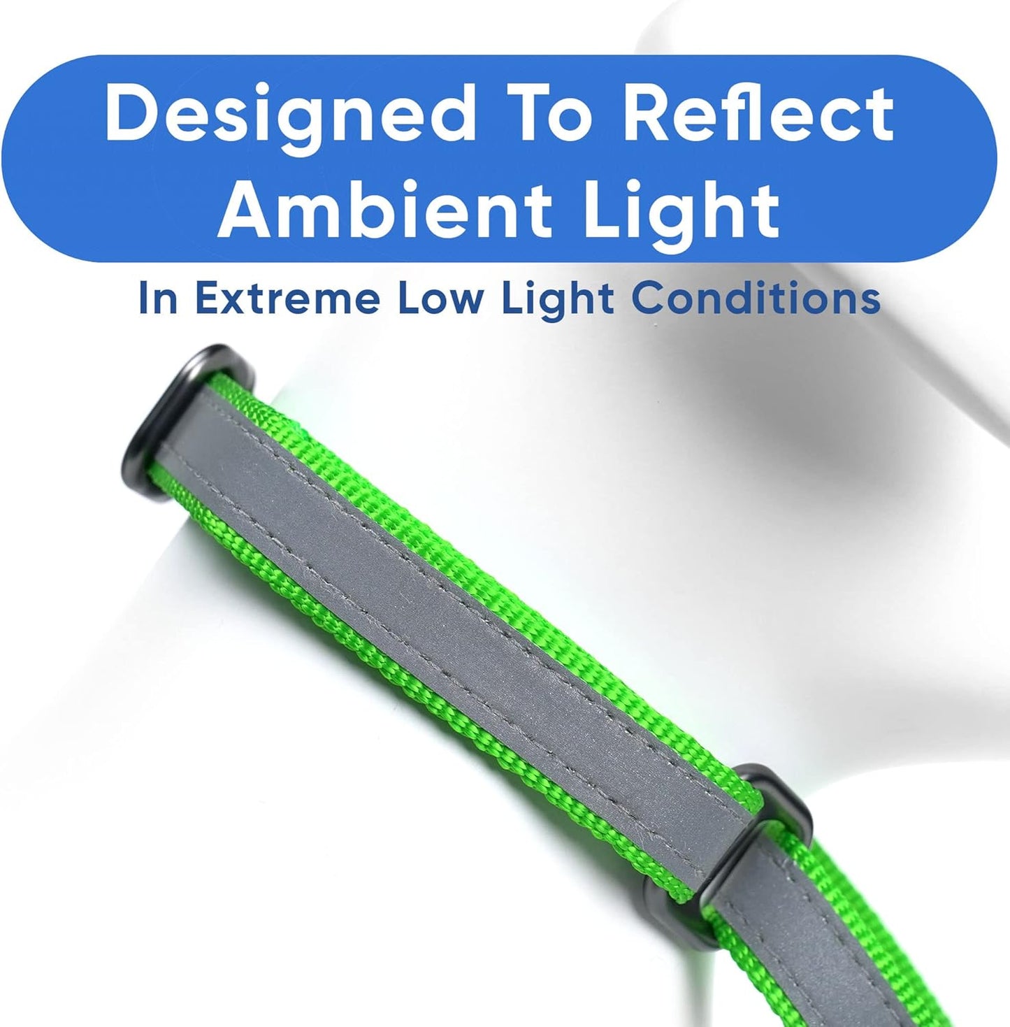 Pawtitas Chain Martingale Dog Collar Puppy Collar Reflective Dog Collar Training Dog Collar Behavioral Dog Chain Collar Collar Medium Dog Collar Green Dog Collar