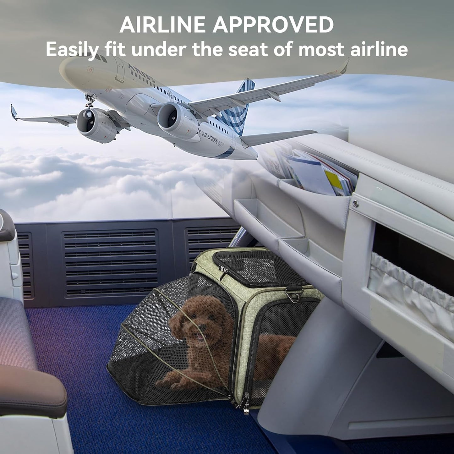 Petsfit Expandable Cat Dog Carrier Airline Approved, 17" L x 11" W x 11" H Soft-Sided Portable Pet Travel Carrier for Kitten, Puppy, Removable Soft Plush Mat and Pockets, Auto-Locking Zippers