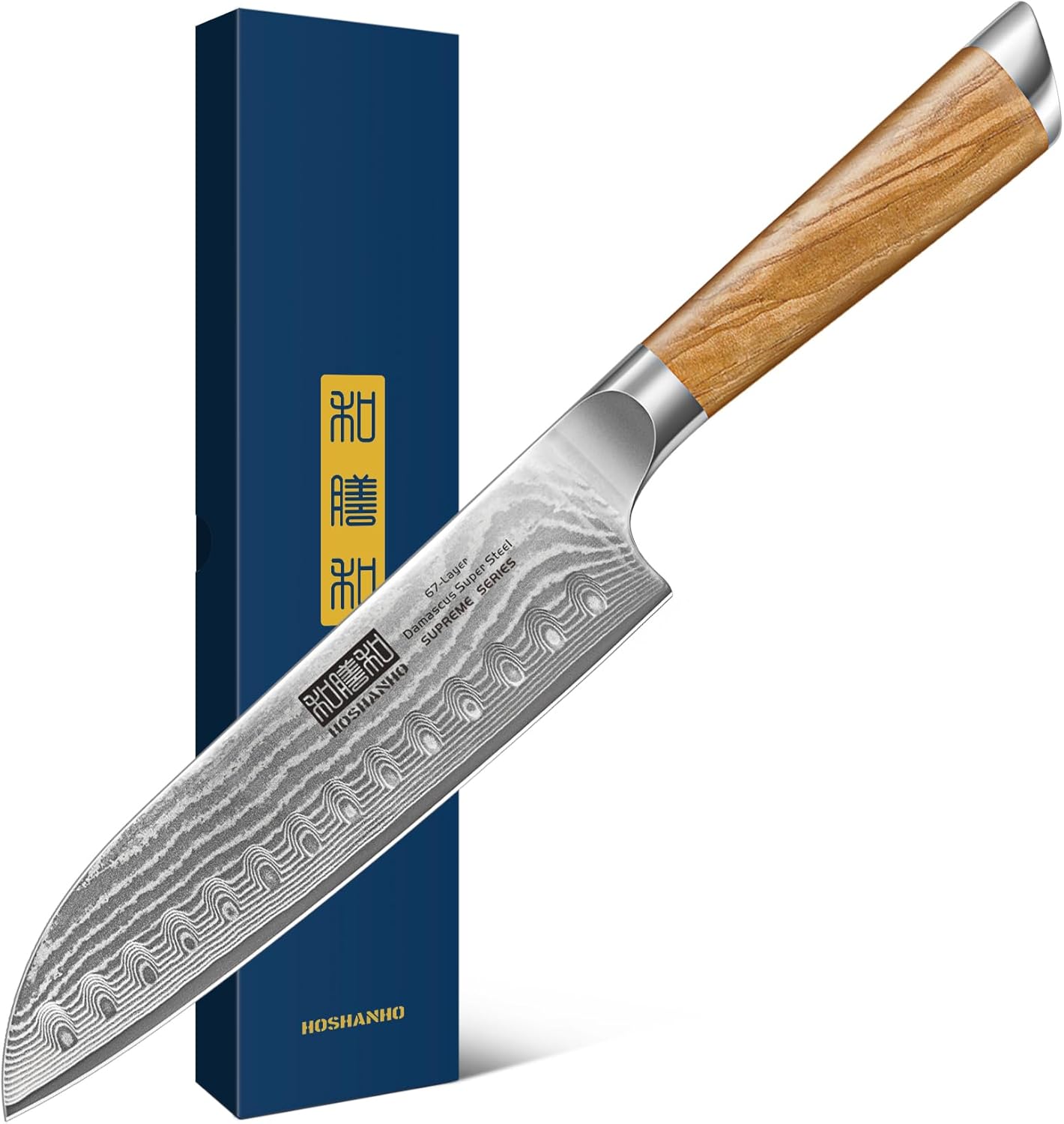 HOSHANHO Damascus Fillet Knife 7 Inch, Professional VG-10 Super Steel Boning Knife, Ultra Sharp Fish Knife with Ergonomic Handle