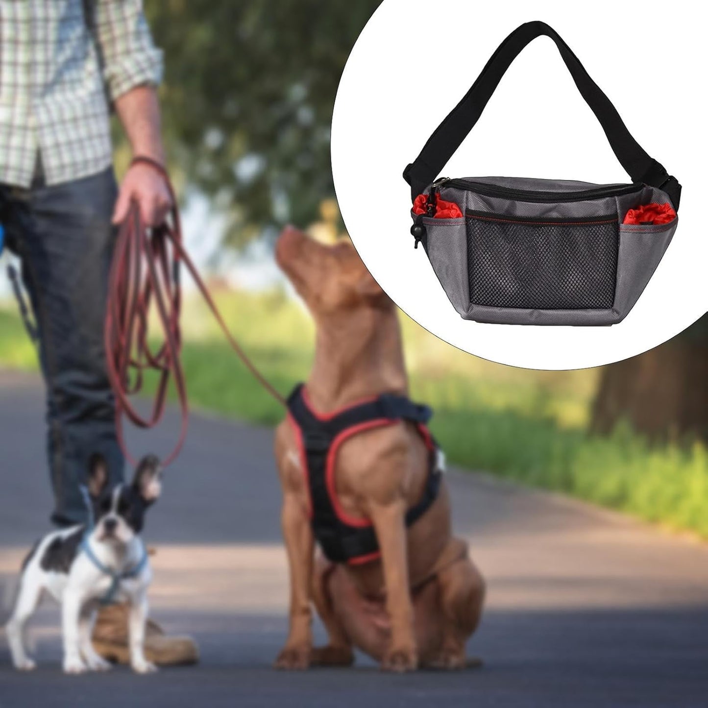 Ioensy Dog Treat Pouch Pet Training Bag Adjustable Fanny Pack for Walking Accessories Water Bottle