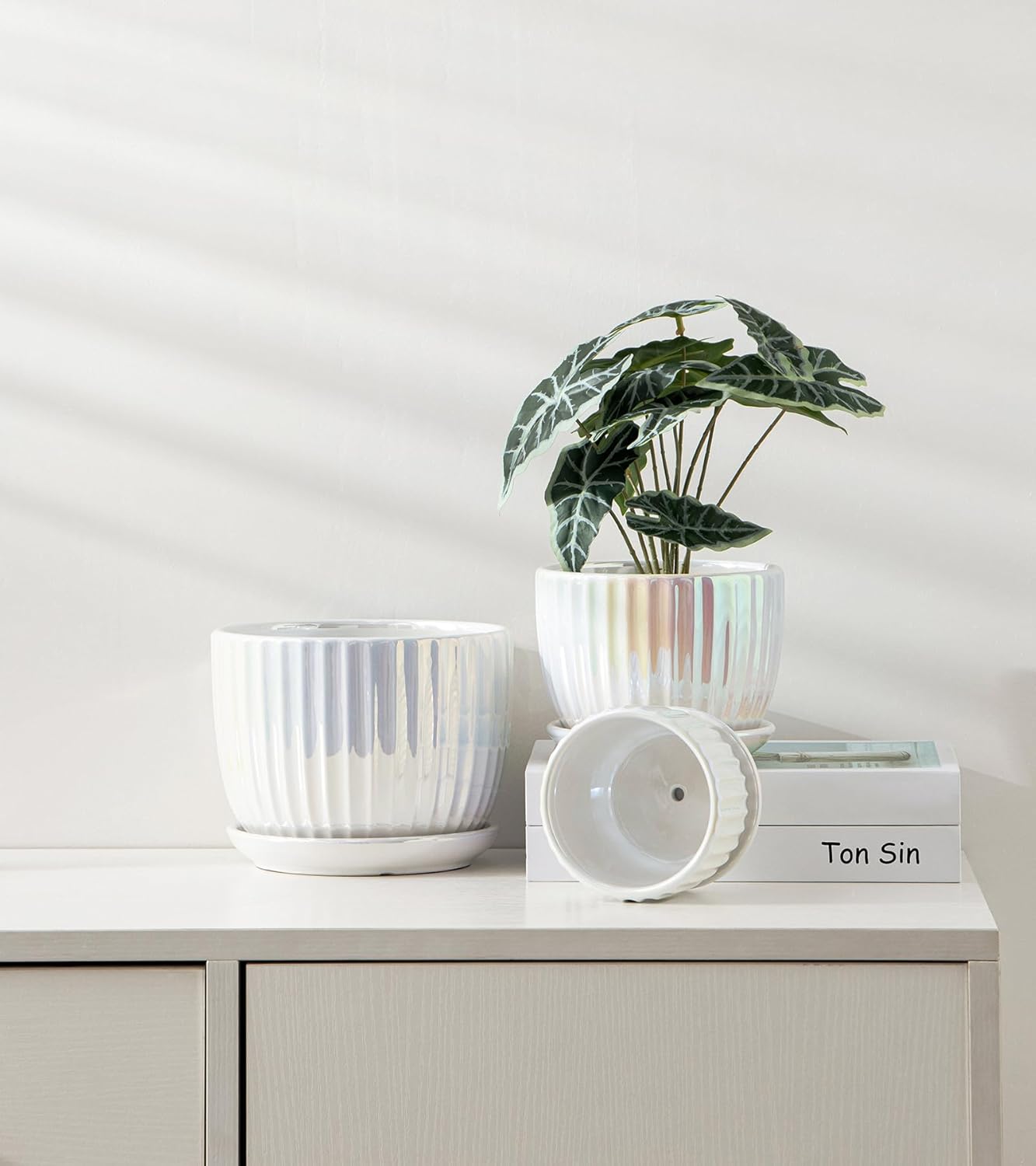 Purilite Select 3-Piece Ceramic Indoor Planter Set