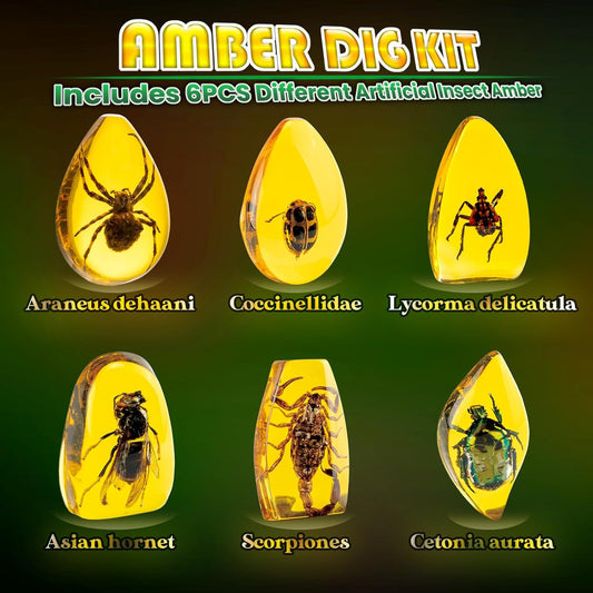 Amber Dig Kit for Kids – STEM Excavation Toy with 6 Insect Specimens, Educational Bug Fossil Digging Set for Ages 6+, Science Learning and Party Favor Activity - PuriLite