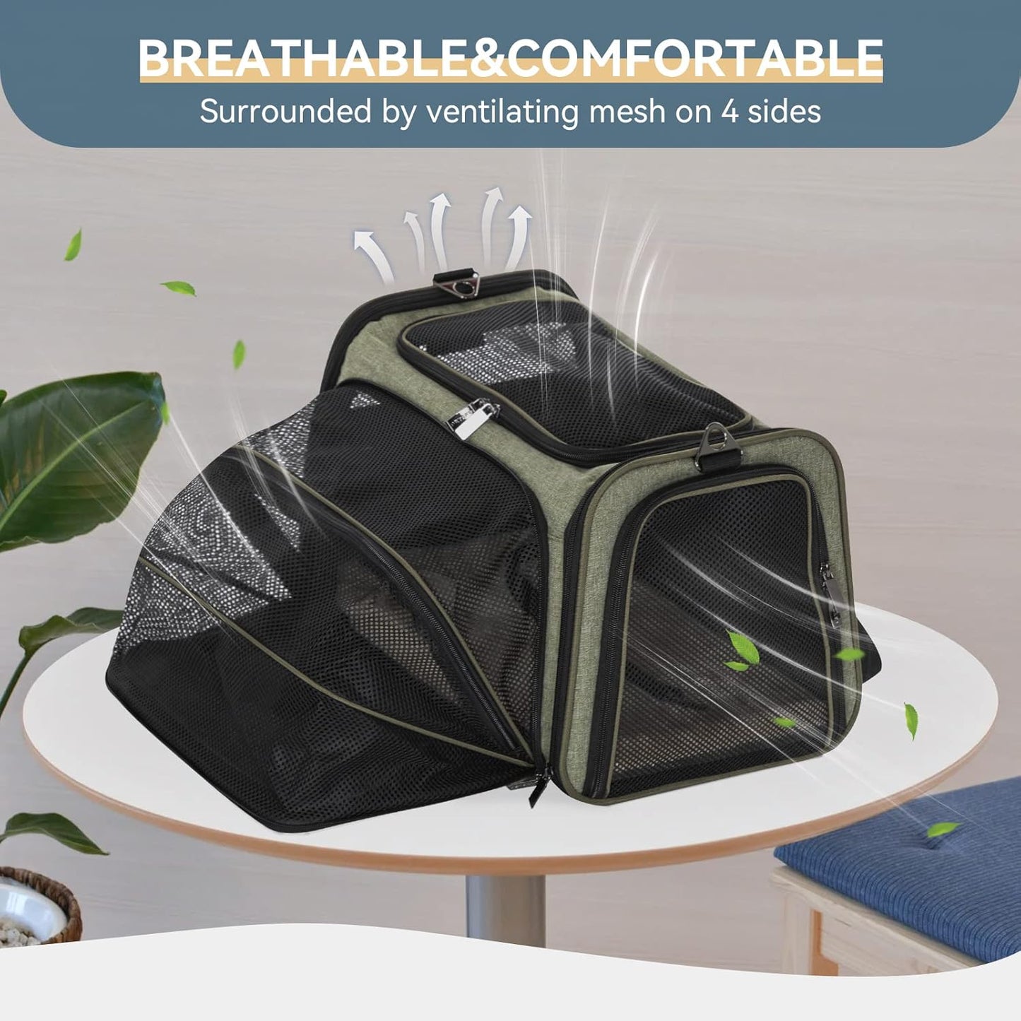 Petsfit Expandable Cat Dog Carrier Airline Approved, 17" L x 11" W x 11" H Soft-Sided Portable Pet Travel Carrier for Kitten, Puppy, Removable Soft Plush Mat and Pockets, Auto-Locking Zippers