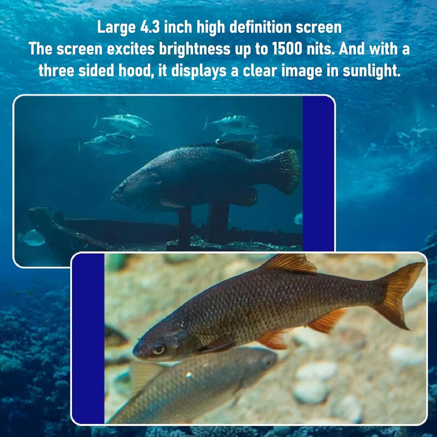 LICAEVEY Underwater Fishing Camera, 5MP 1080P Fishing Camera with Infrared Night Vision Light, Portable Fish Finder with 164ft Cable & 4.3in HD Screen for Ice Lake Boat Angling
