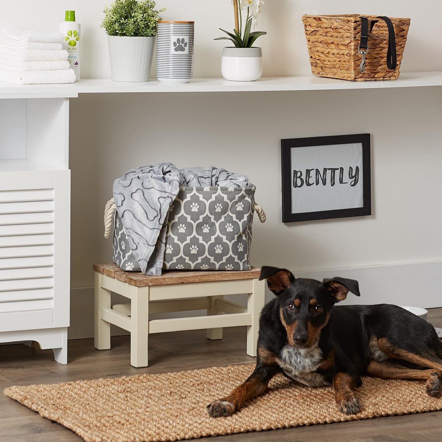 DII Bone Dry RoundSmall Pet Toy and Accessory Storage Bin, 12"(Dia) x9(H), Collapsible Organizer Storage Basket for Home Decor, Pet Toy, Blankets, Leashes and Food-Gray Stripes