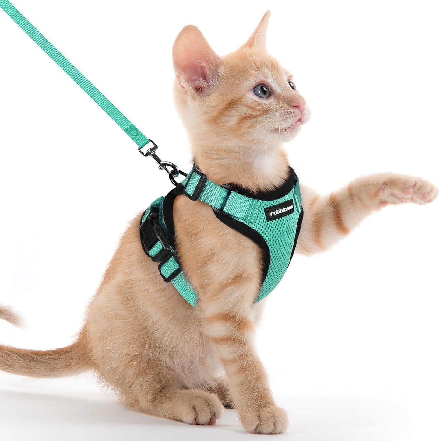 rabbitgoo Cat Harness and Leash for Walking, Escape Proof Soft Adjustable Vest Harnesses for Small Medium Cats, Easy Control Breathable Reflective Strips Jacket, XS, Black