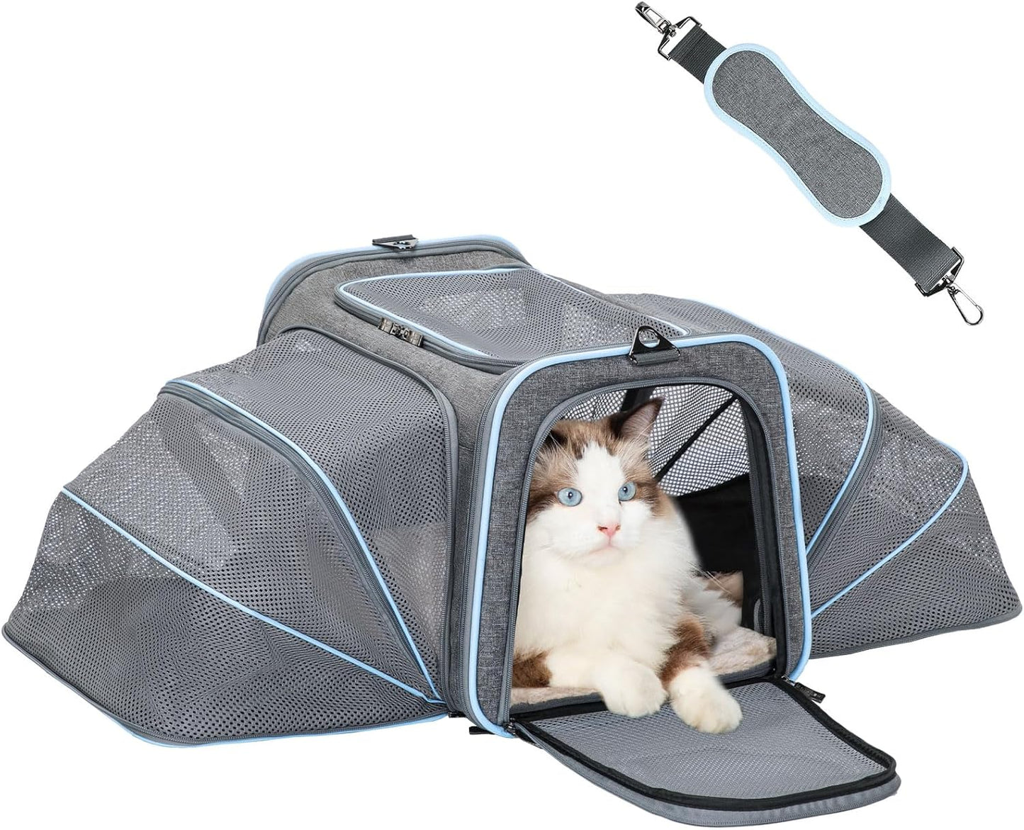 Petsfit Expandable Cat Dog Carrier Airline Approved, 17" L x 11" W x 11" H Soft-Sided Portable Pet Travel Carrier for Kitten, Puppy, Removable Soft Plush Mat and Pockets, Auto-Locking Zippers
