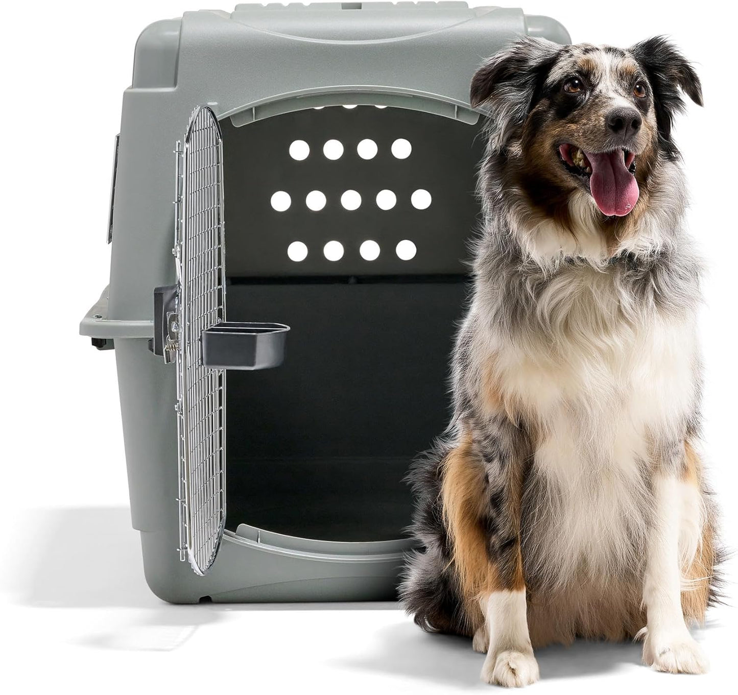 Petmate 00200 Sky Kennel for Pets from 25 to 30-Pound, Light Gray