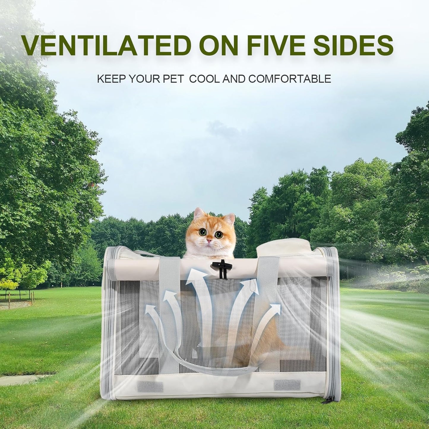 Le city Cat Carrier and Dog Carrier is Designed for Pets Weighing up to 16 lbs.Soft-Sided,Durable and Collapsible Travel Carrier,Breathable Mesh for Ventilation,Adjustable Shoulder Strap for Comfort