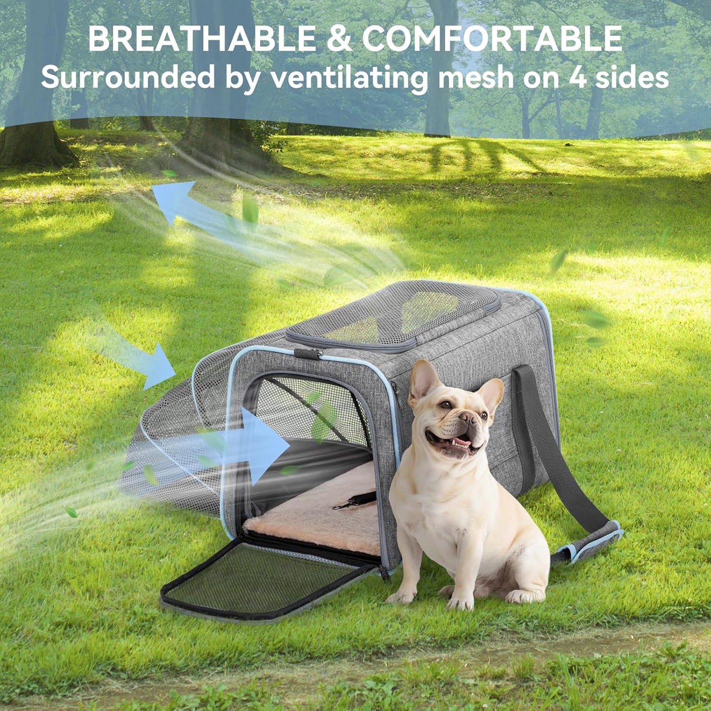 Petsfit Expandable Cat Dog Carrier Airline Approved, 17" L x 11" W x 11" H Soft-Sided Portable Pet Travel Carrier for Kitten, Puppy, Removable Soft Plush Mat and Pockets, Auto-Locking Zippers