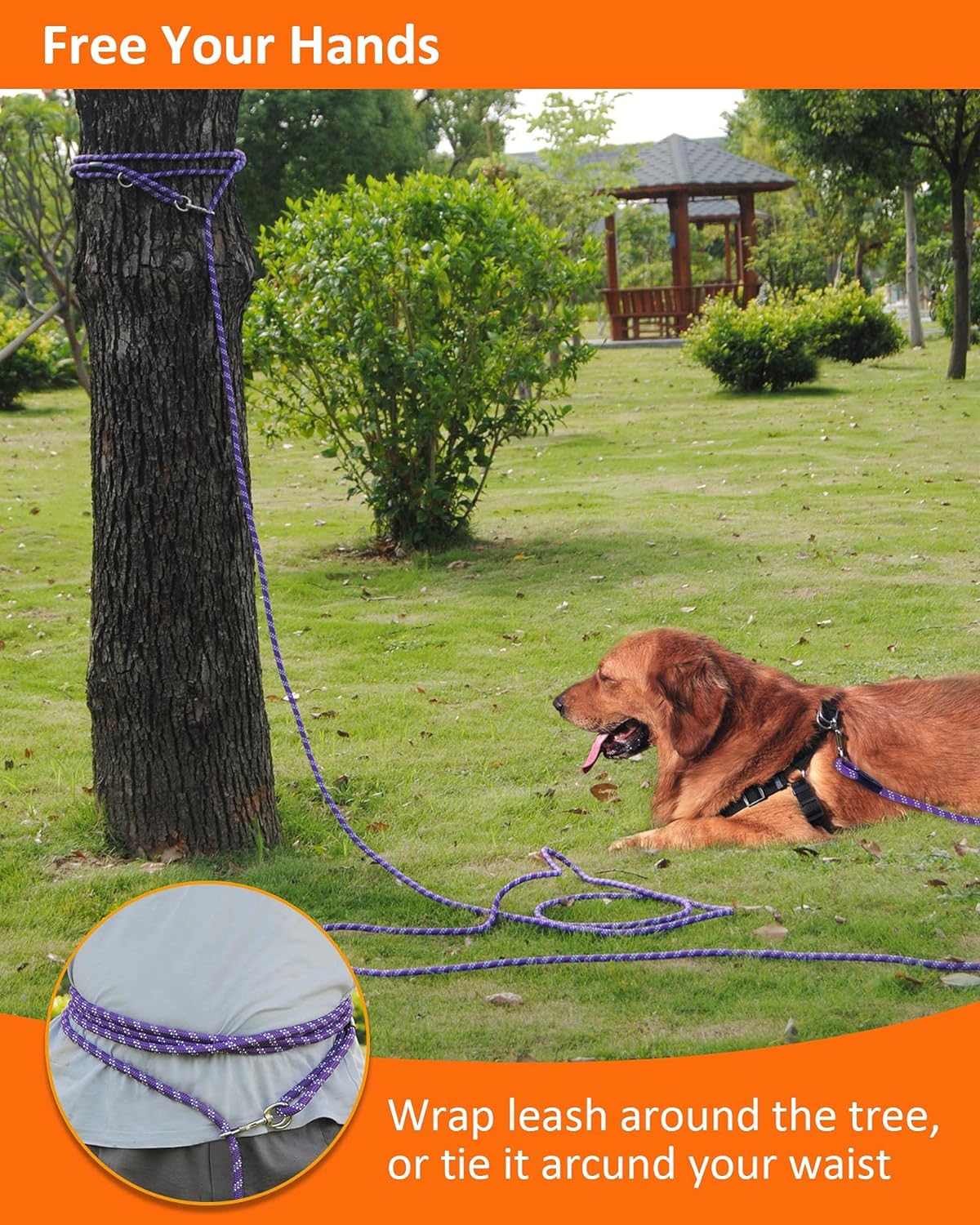 Long Rope Leash for Dog Training 10FT 16FT 30FT 50FT 100FT, Reflective Threads Check Cord Dog Leash Tie-Out Cable, Heavy Duty Dog Lead for Large Medium Small Dogs Outside Walking, Playing, Camping, or Yard