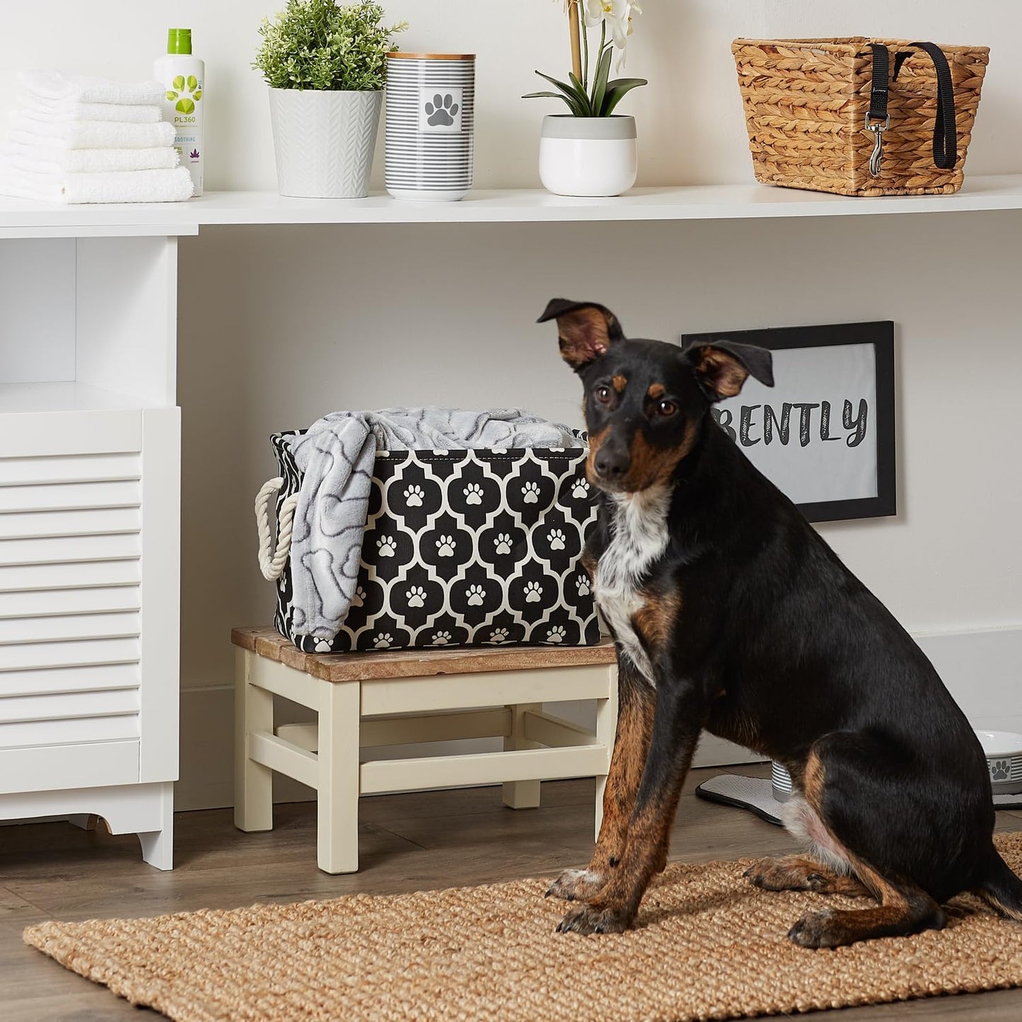 DII Bone Dry RoundSmall Pet Toy and Accessory Storage Bin, 12"(Dia) x9(H), Collapsible Organizer Storage Basket for Home Decor, Pet Toy, Blankets, Leashes and Food-Gray Stripes