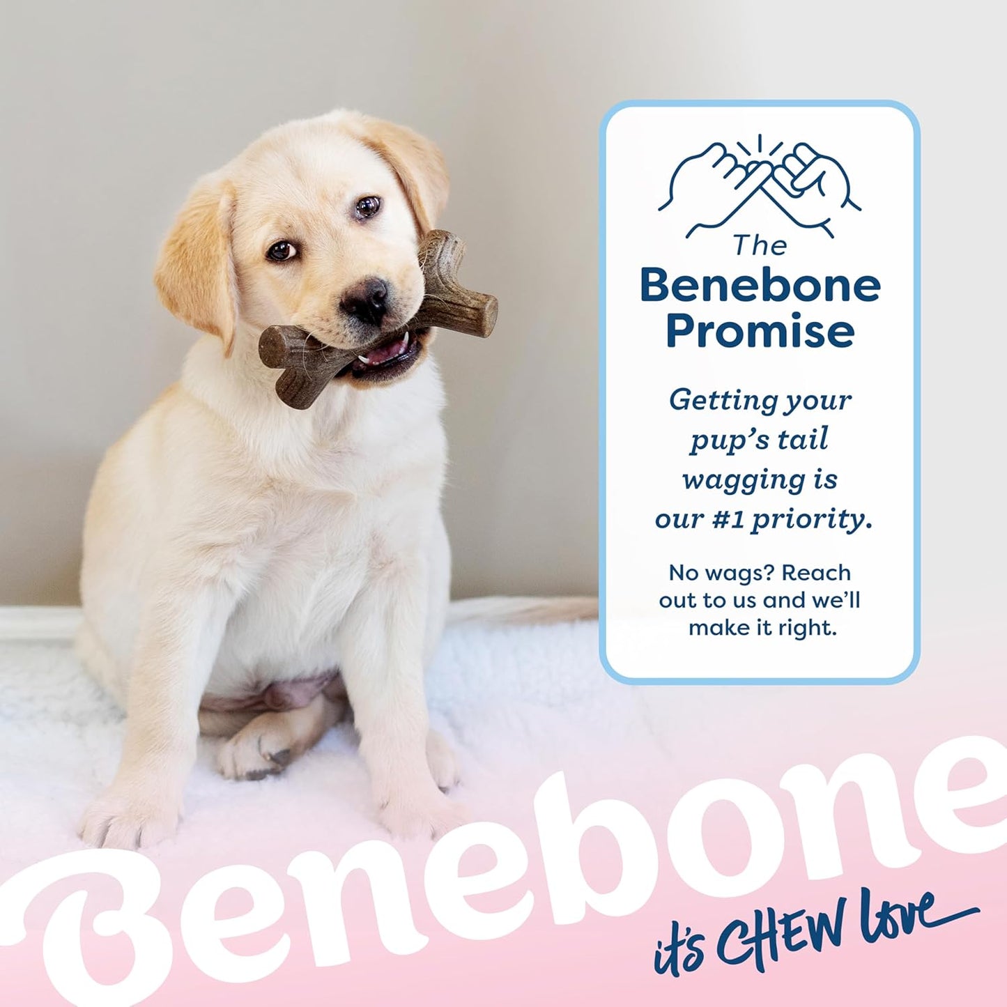 Benebone 4-Pack Durable Dog Chew Toys for Aggressive Chewers, Real Flavors, Made in USA, Medium