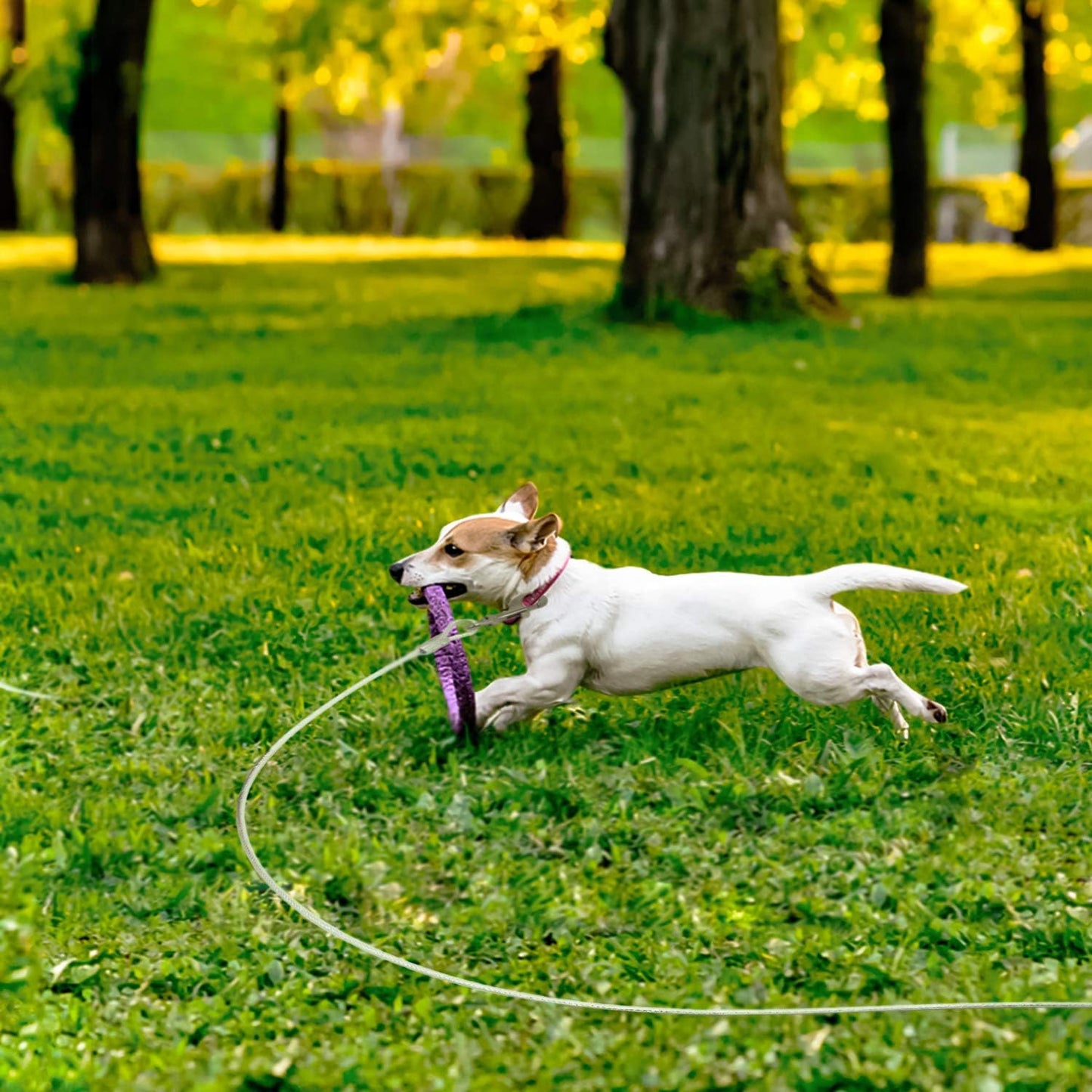 Tie Out Cable for Dogs, 10FT Dog Leads for Yard Chew Proof, Heavy Duty Dog Tie Out Cable for Large Dogs Up to 126lbs, Durable Dog Runner for Yard or Camping