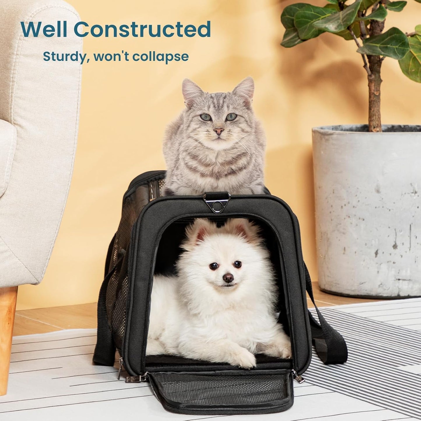 Petsfit Pet Carrier Airline Approved, Soft-Sided Cat Carrier with Patented Car Buckle, Lightweight and Collapsible with Adjustable Shoulder Strap, Soft Cushion,Green