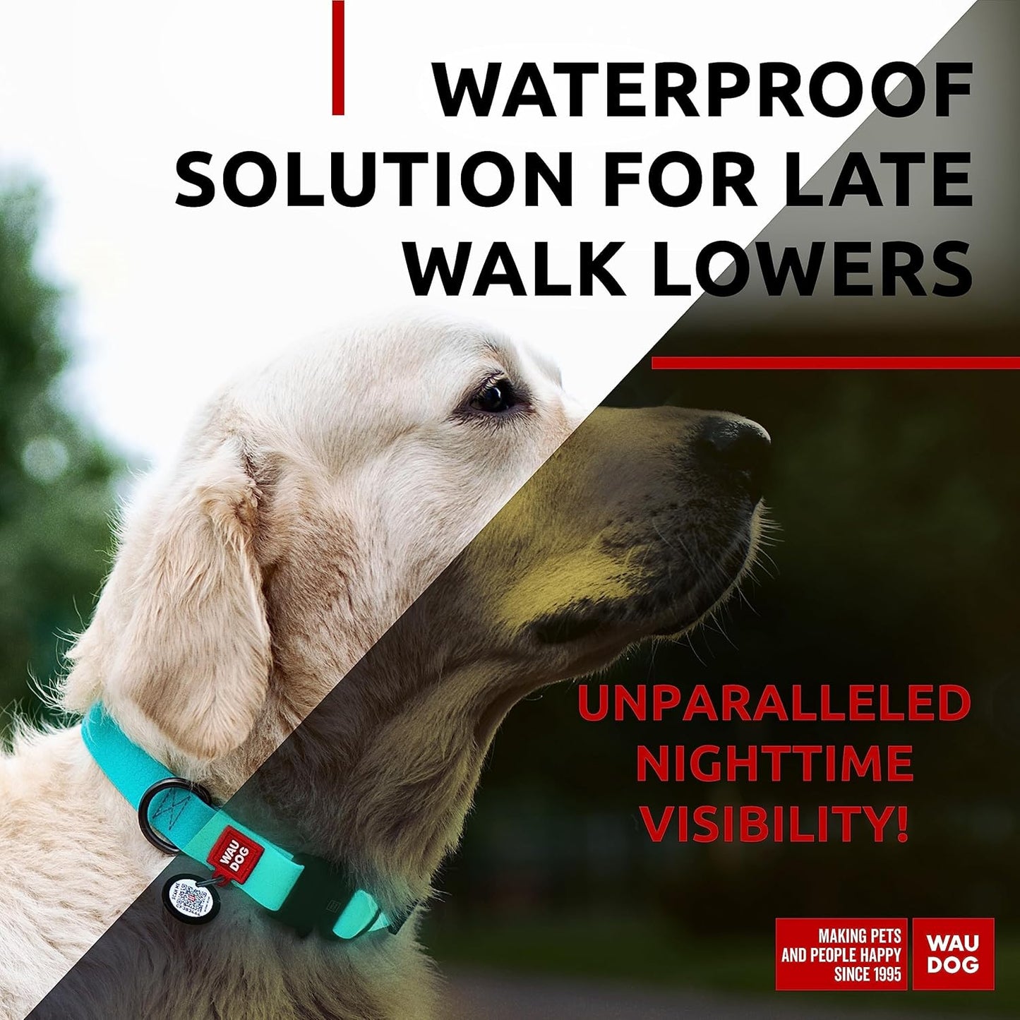 Waterproof Dog Collar - Adjustable Glow Dog Collar for Large Dogs, Small and Medium Dogs - Heavy Duty Dog Collars with Durable Metal Clasp and QR Dog Tag - Glow in The Dark Dog Collars