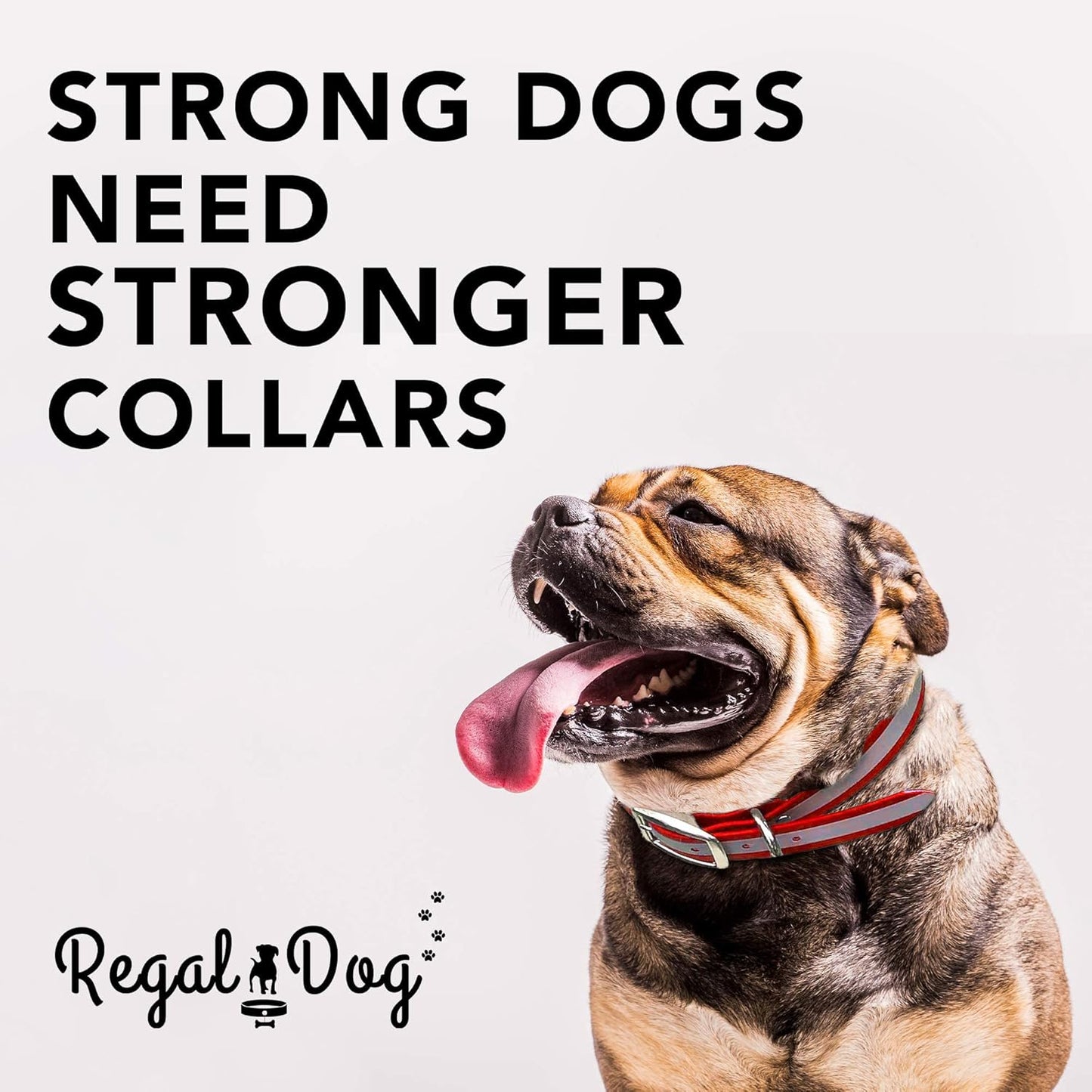 Regal Dog Products Large Pink Heavy Duty Reflective Dog Collar with Center Ring, Metal Buckle and D Ring | Anti-Odor Adjustable Biothane Waterproof Dog Collar | Other Sizes for Small & Medium Dogs