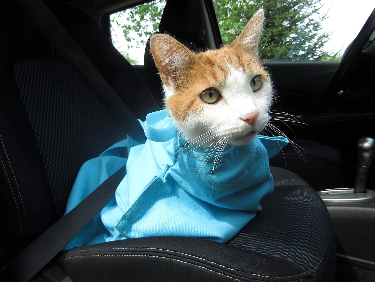 Cat-in-the-Bag Cozy Comfort Carrier - Small Caramel Pet Carrier for Cat and Cat Restraint for Medication Administration, Nail Clipping, Travel, Vet Visits, and Dental Care