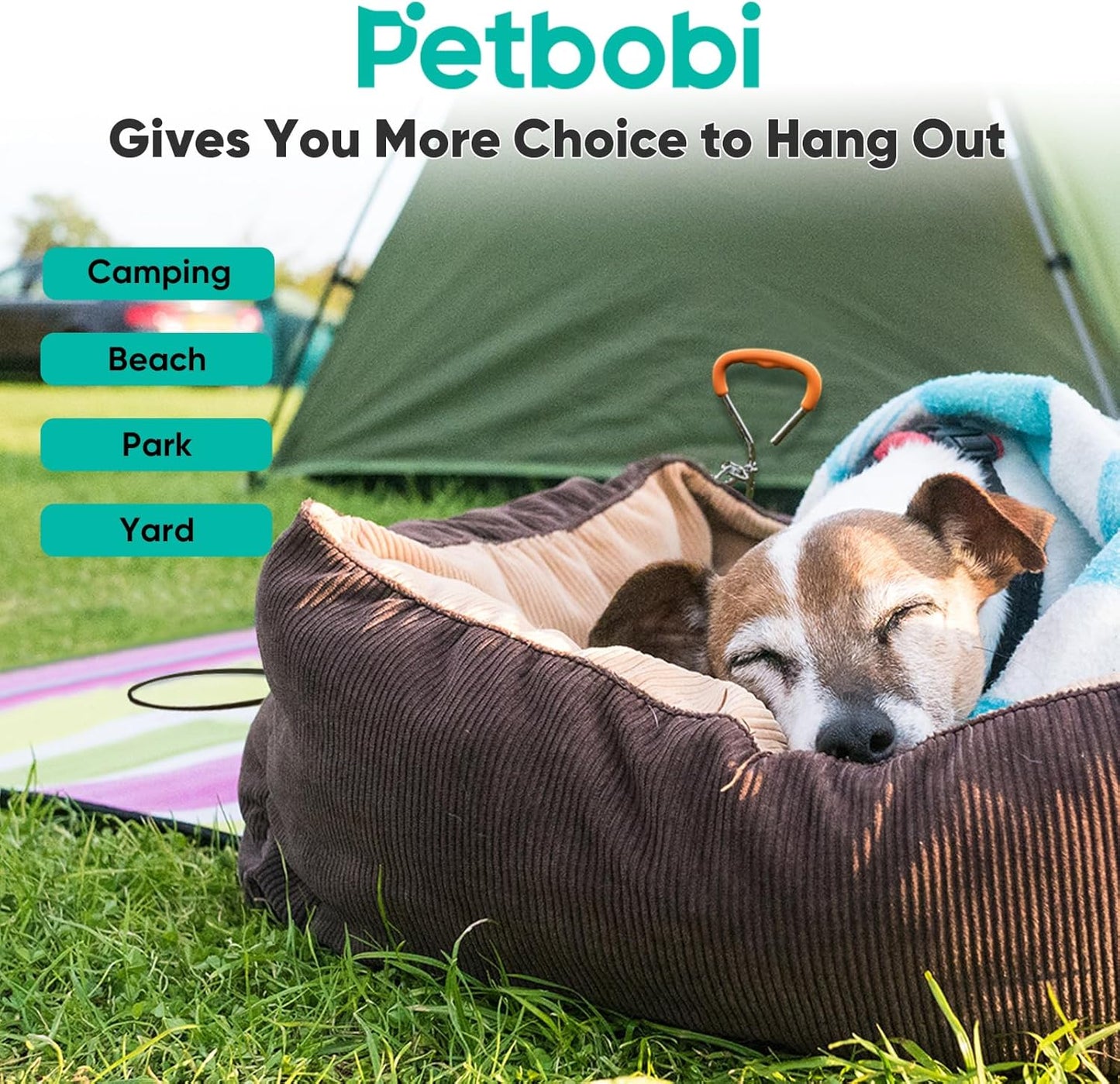 Petbobi Dog Tie-Out Cable and Stake - 30ft Heavy Duty Cable with Spring, No Tangle, 16in Ground Stake, Ideal for Yard, Camping and Beach, Suitable for Small Medium Large Dogs Up to 120 lbs, Blue