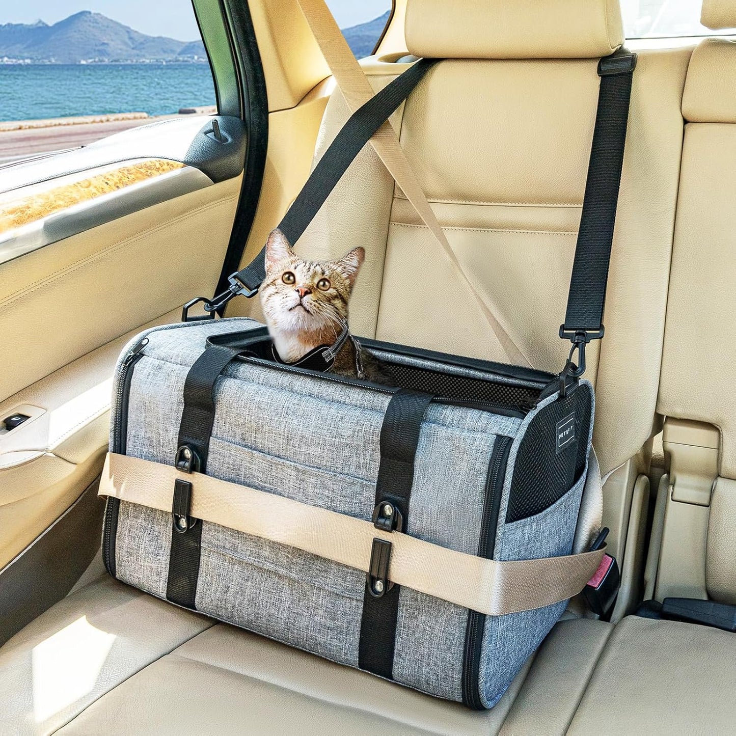 Petsfit Pet Carrier Airline Approved, Soft-Sided Cat Carrier with Patented Car Buckle, Lightweight and Collapsible with Adjustable Shoulder Strap, Soft Cushion,Green