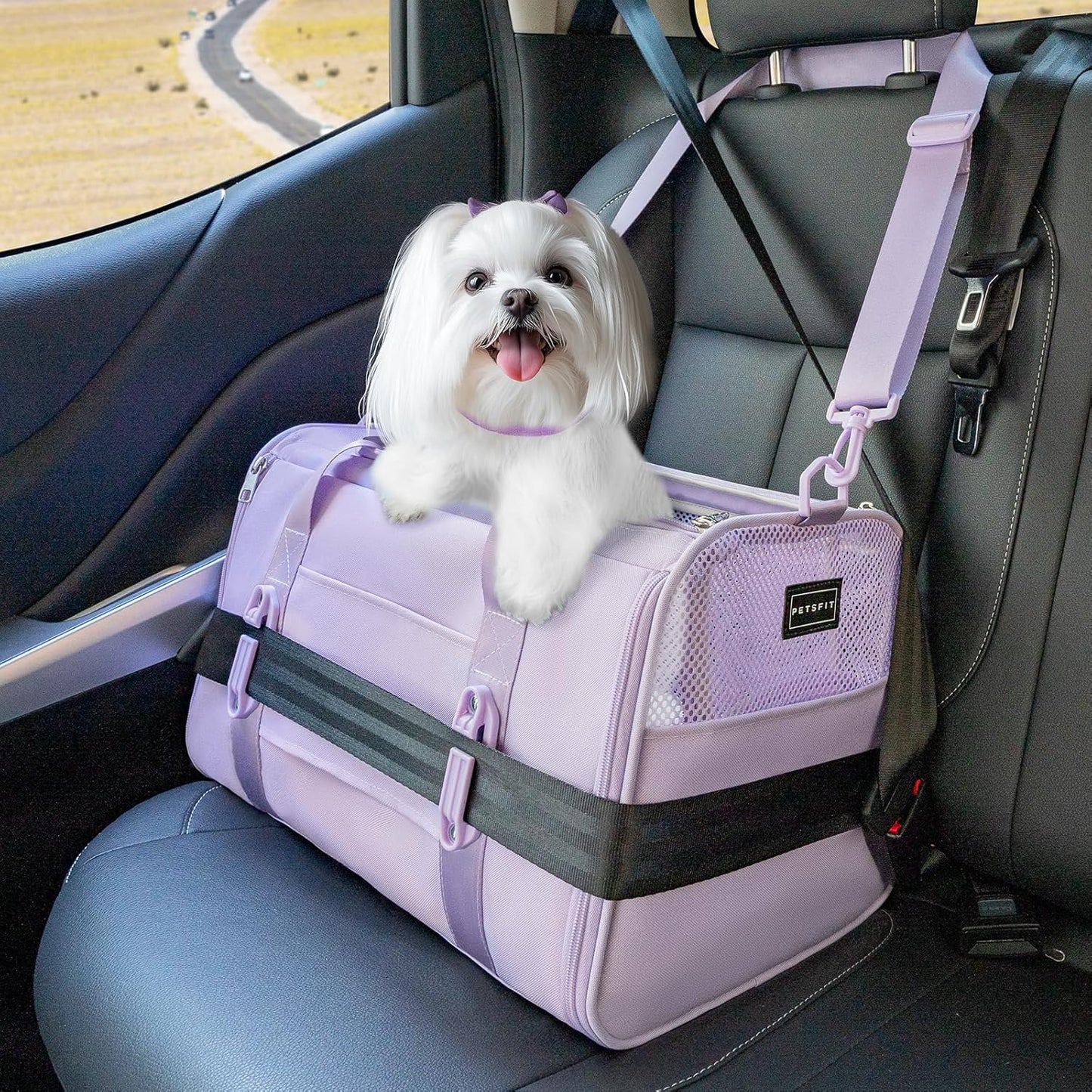 Petsfit Pet Carrier Airline Approved, Soft-Sided Cat Carrier with Patented Car Buckle, Lightweight and Collapsible with Adjustable Shoulder Strap, Soft Cushion,Green
