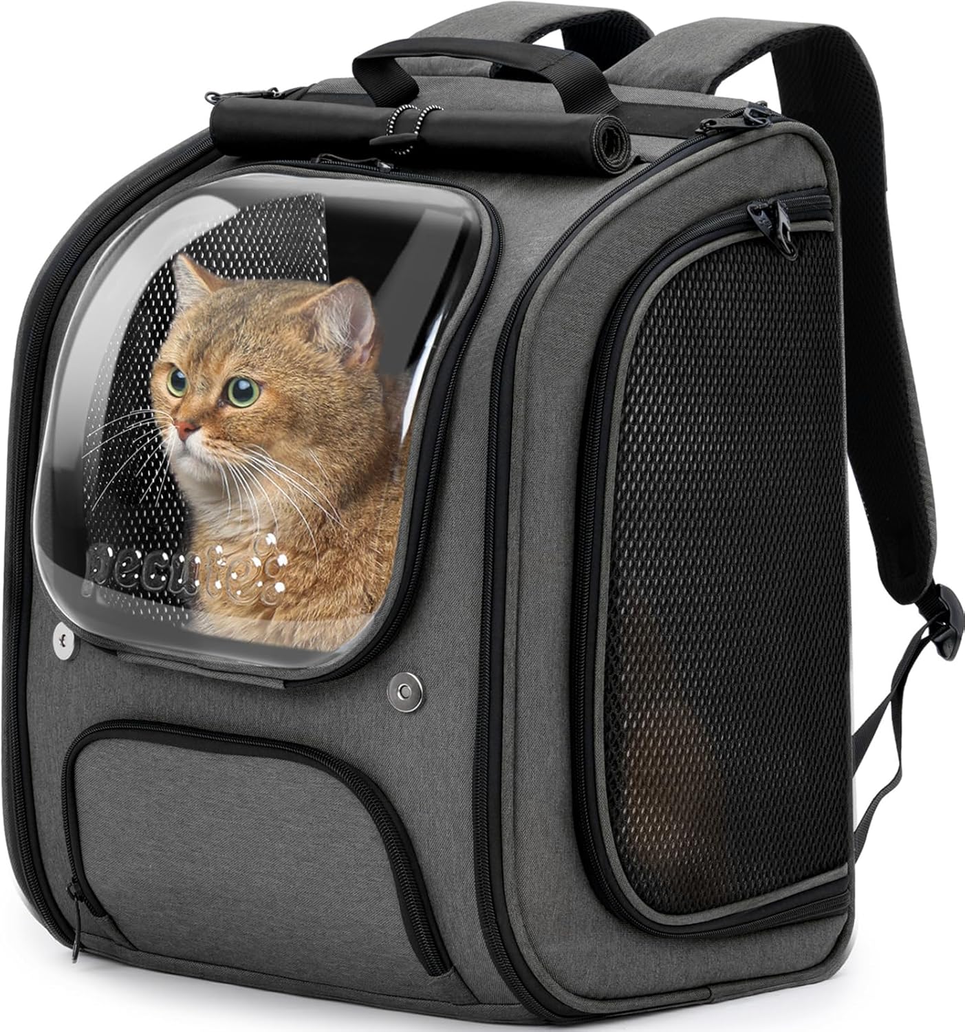 Pecute Bubble Cat Backpack, Large Space Cat Backpack Carrier with Breathable Mesh, Cat Carrier with Space Capsule Clear Bubble Window for Kitten and Puppy, Used in Travel Hiking Walking Outdoor,Green
