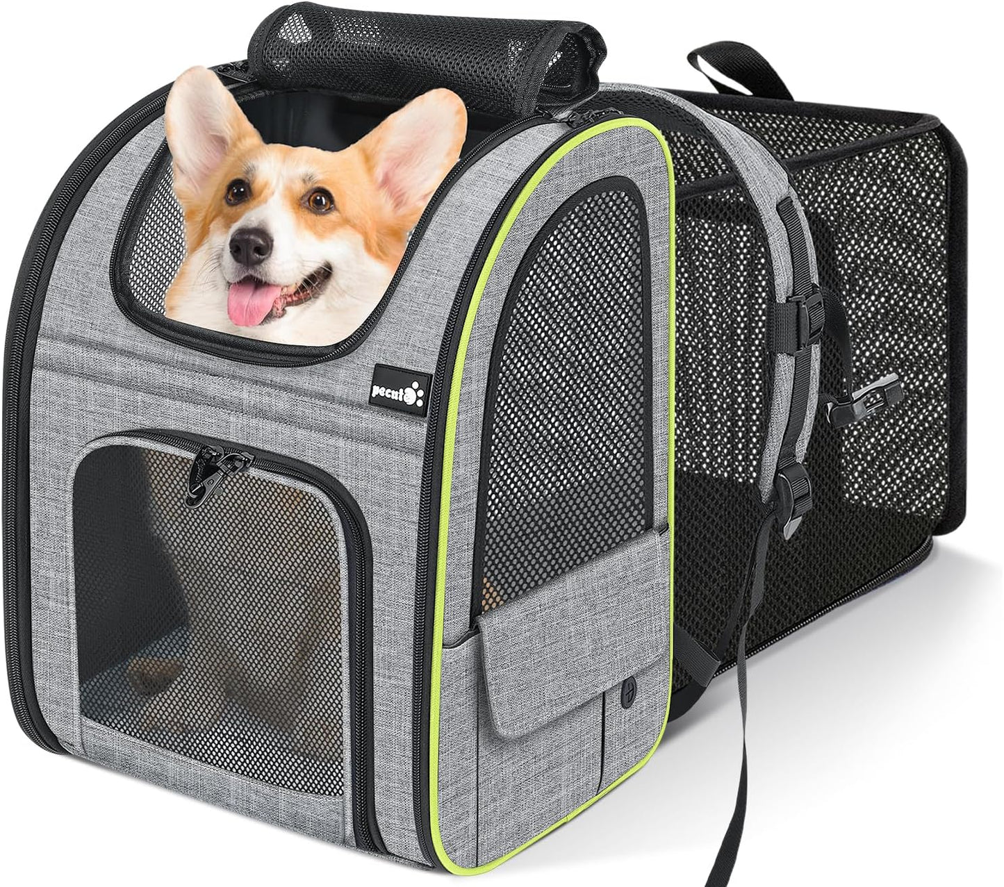 Pecute Pet Carrier Backpack, Dog Carrier Backpack Expandable with Breathable Mesh for Pets <6kg, Pet Backpack Carrier for Hiking Travel Camping Outdoor